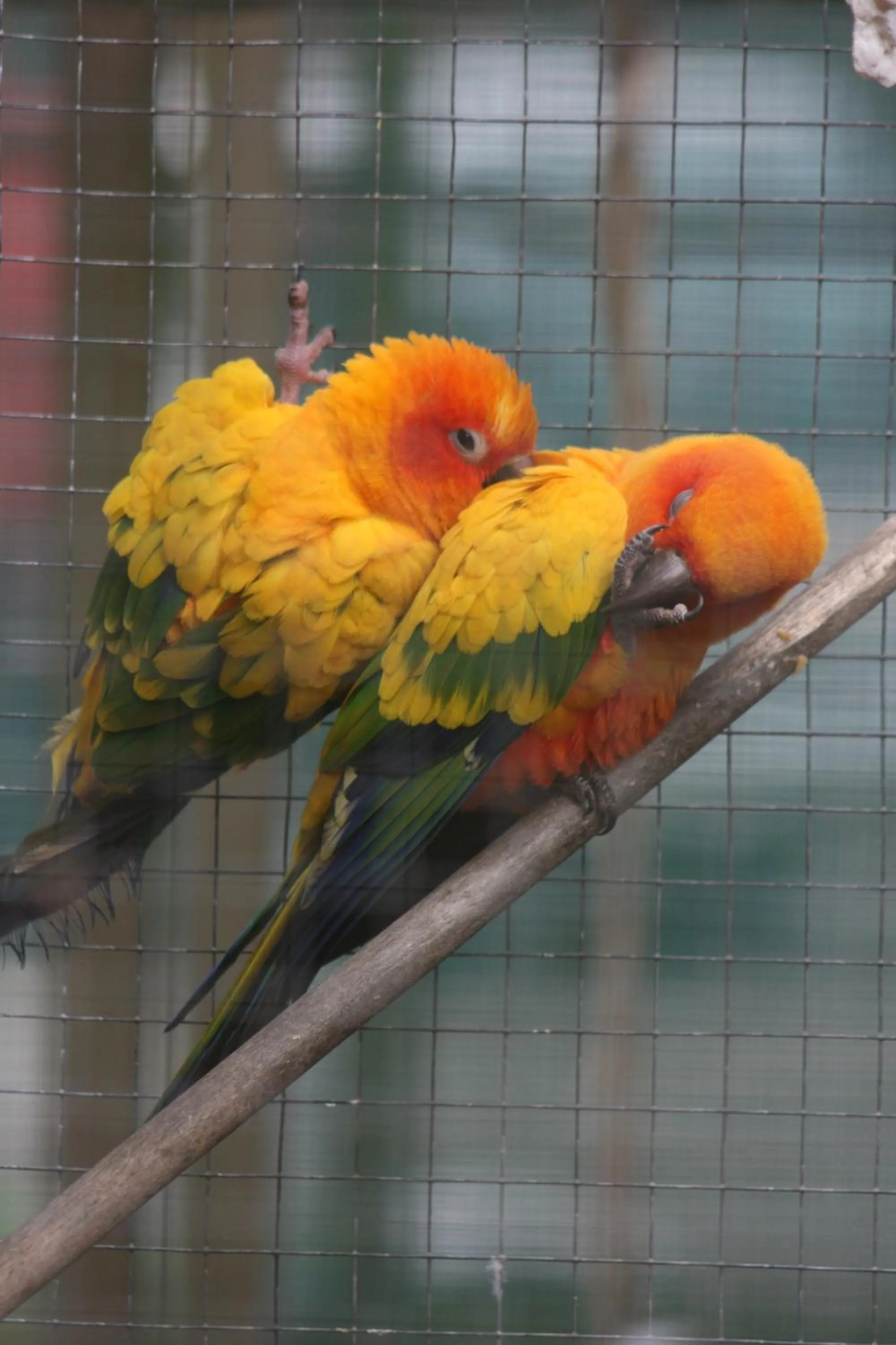 Other in Westport Kiwi Holiday Park & Motels