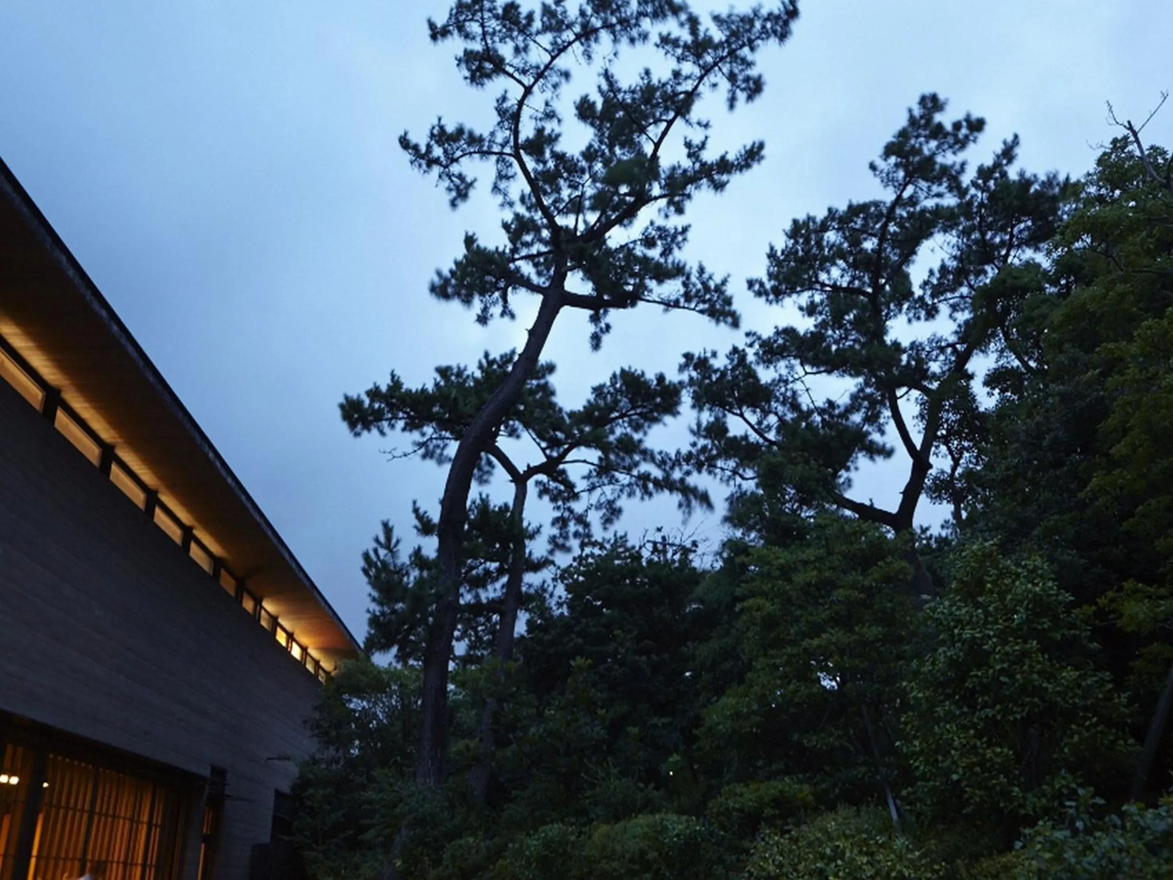 Natural landscape in Numazu Club