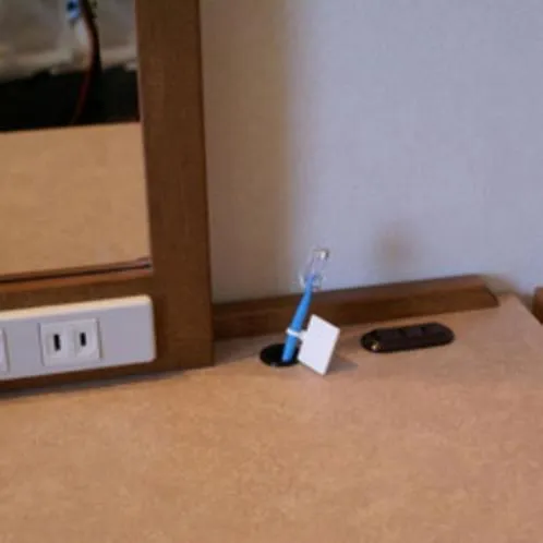 Ryugasaki Plaza Hotel Shinkan