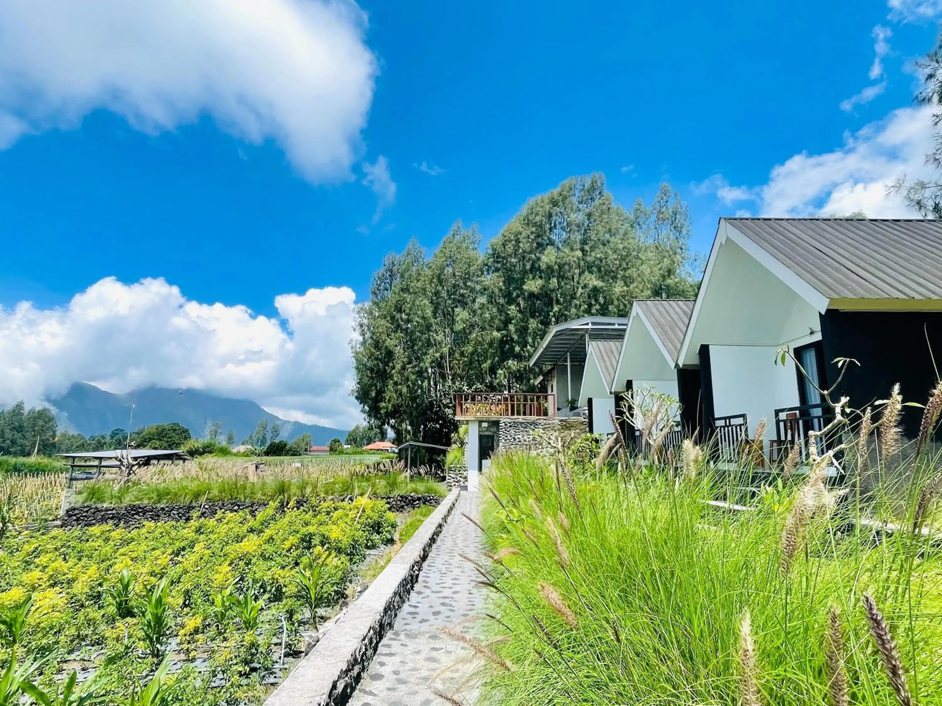 Property building in The Iris Kintamani