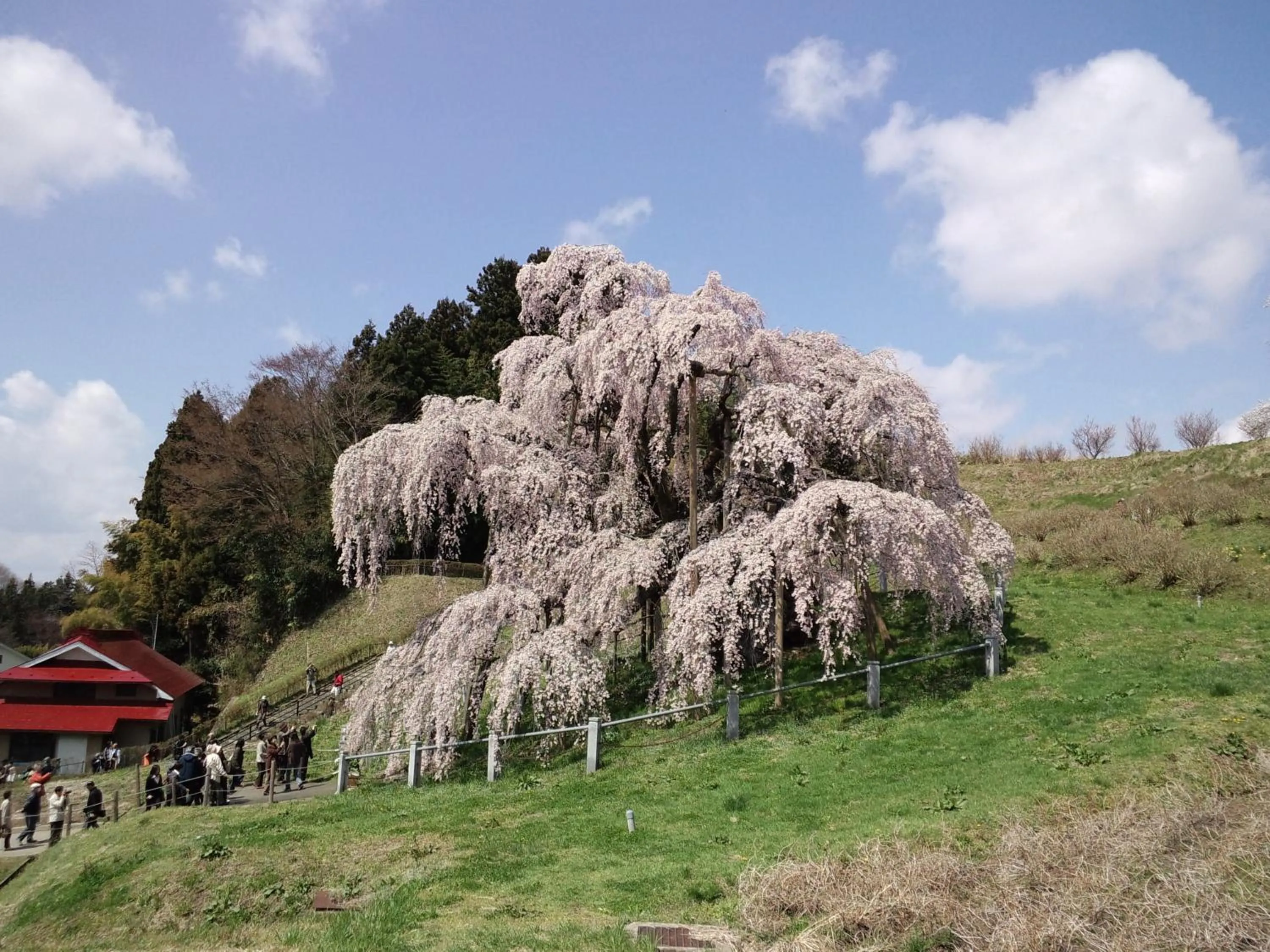 Nearby landmark in Azumakan