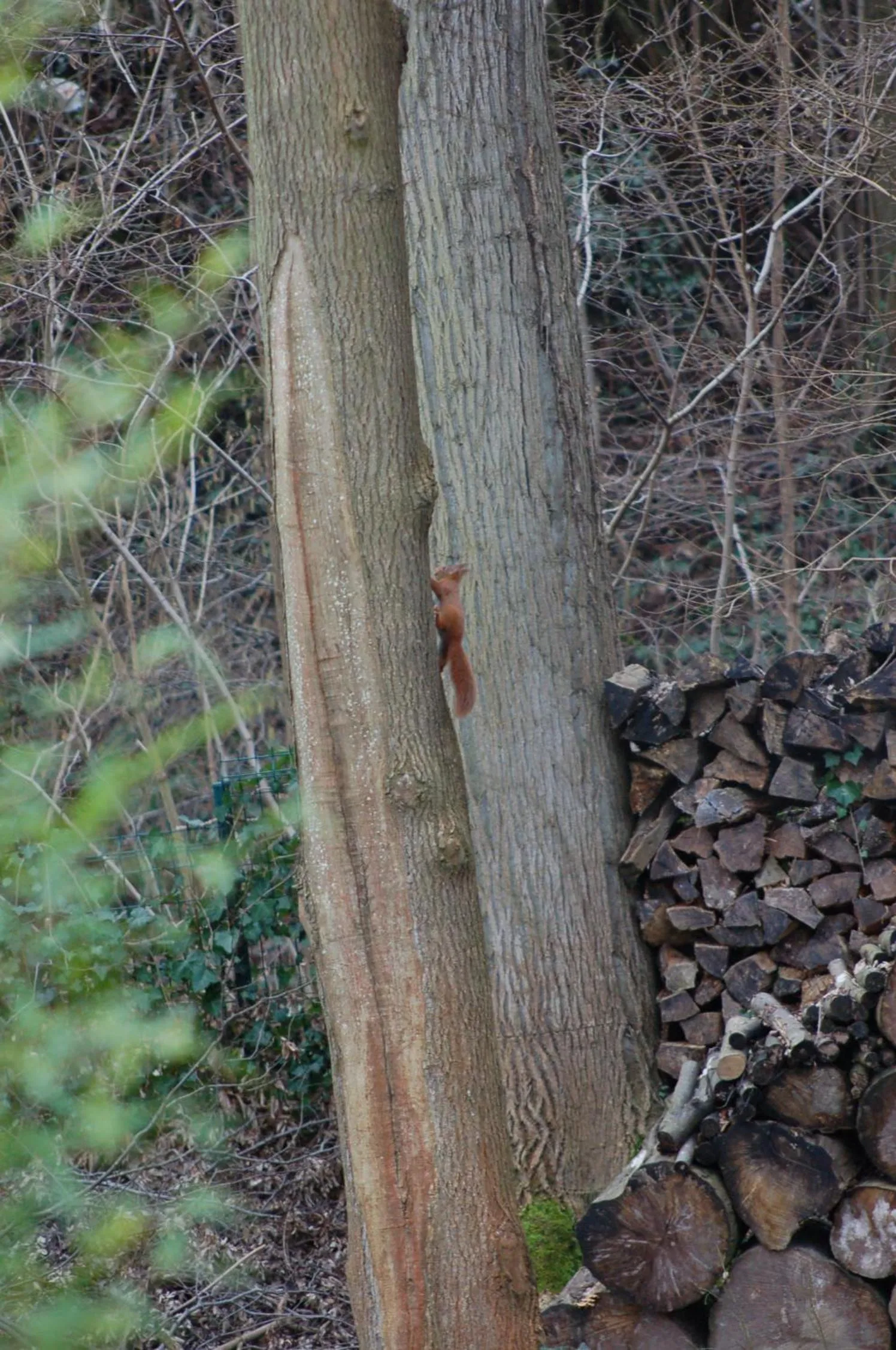 View (from property/room) in B&B Loft Trotters