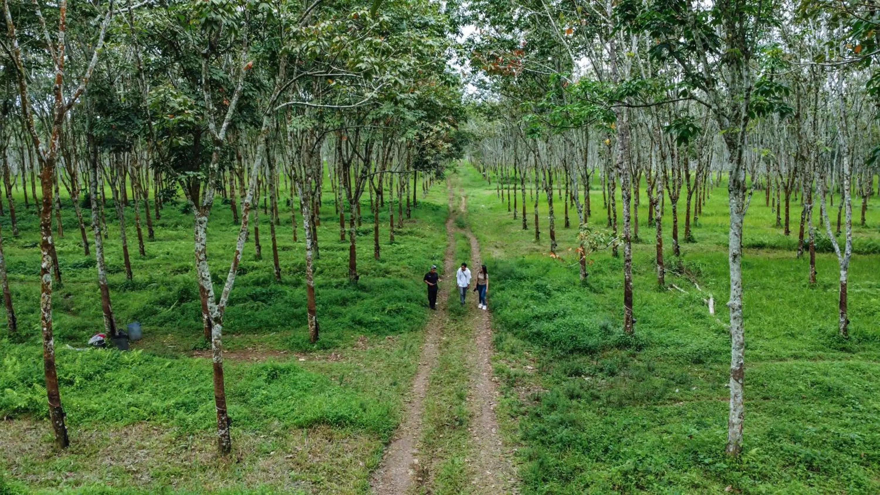 Other in Hotel Blambangan