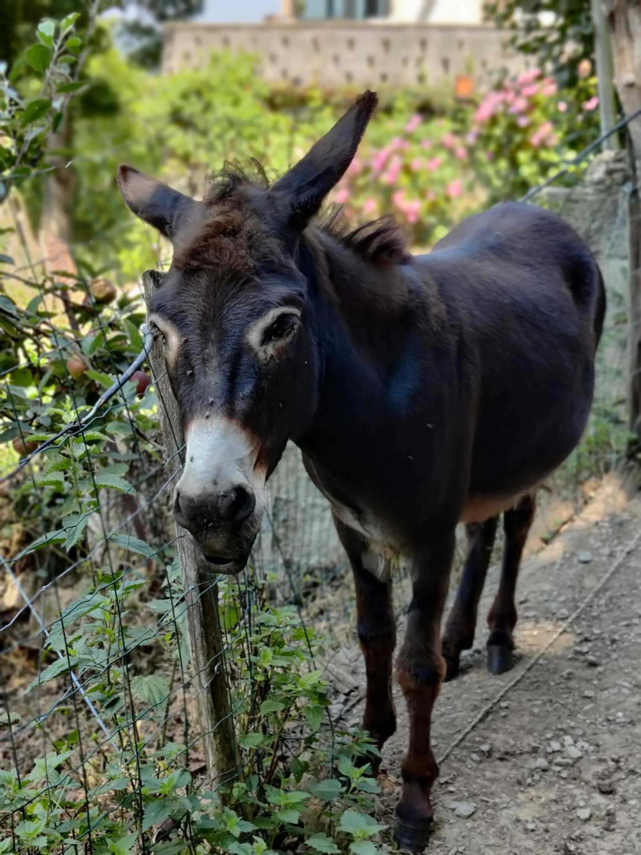 Activities in Le Perchoir des Pyrénées