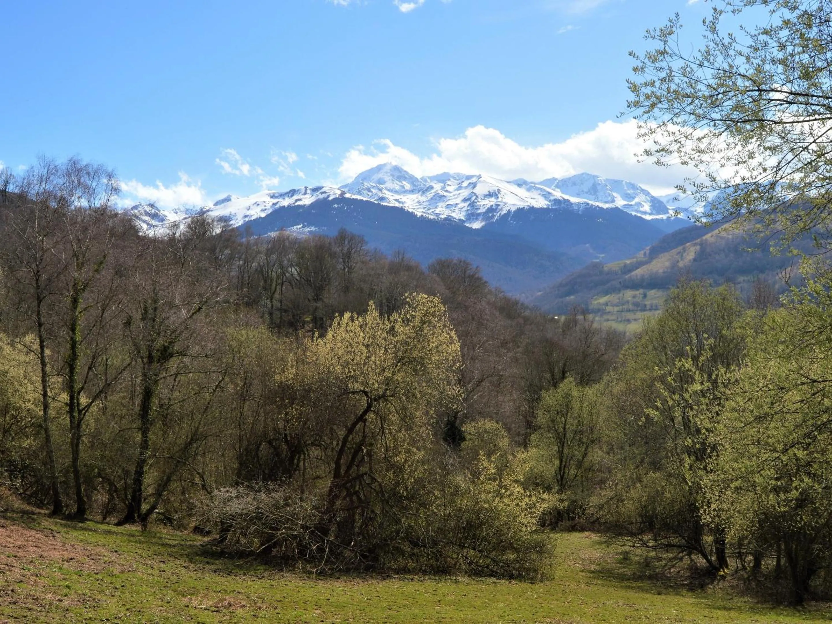 View (from property/room) in Le Perchoir des Pyrénées