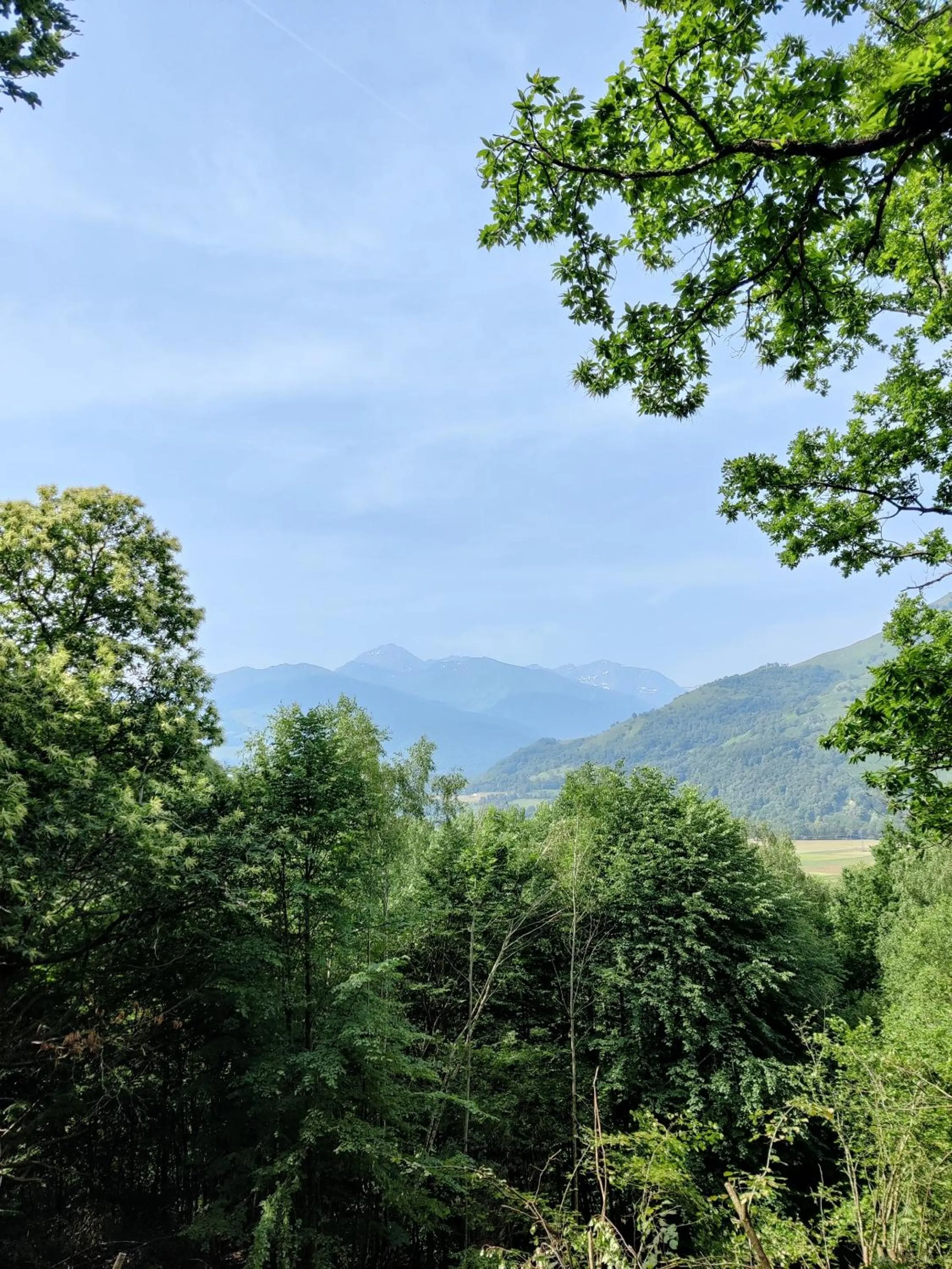 View (from property/room) in Le Perchoir des Pyrénées