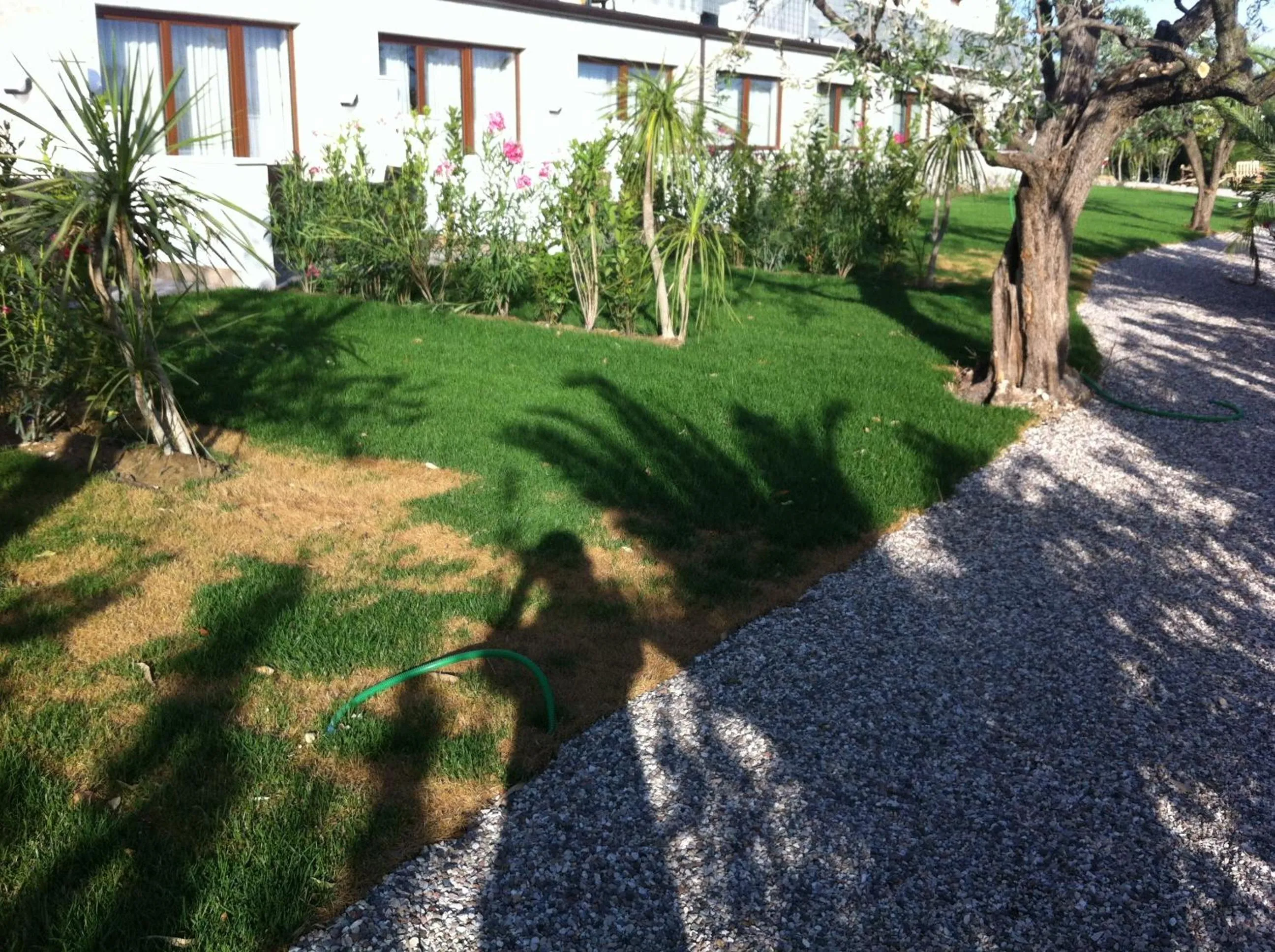 Garden in Eurocongressi Hotel