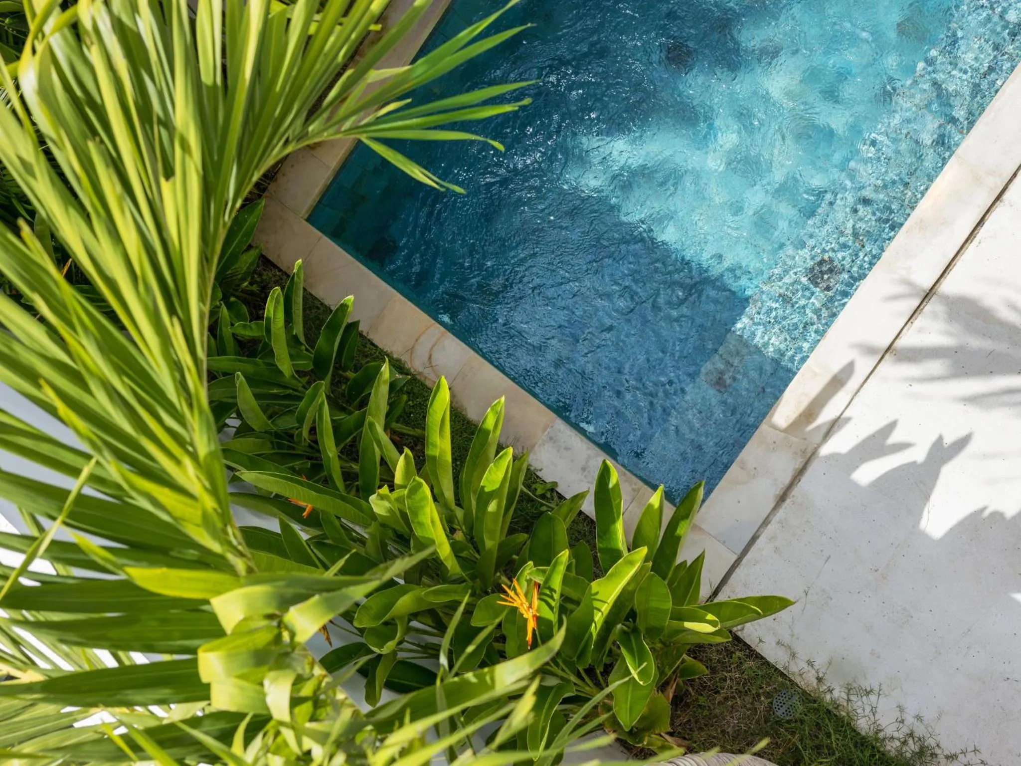 White Residence - Art & Boutique Villas