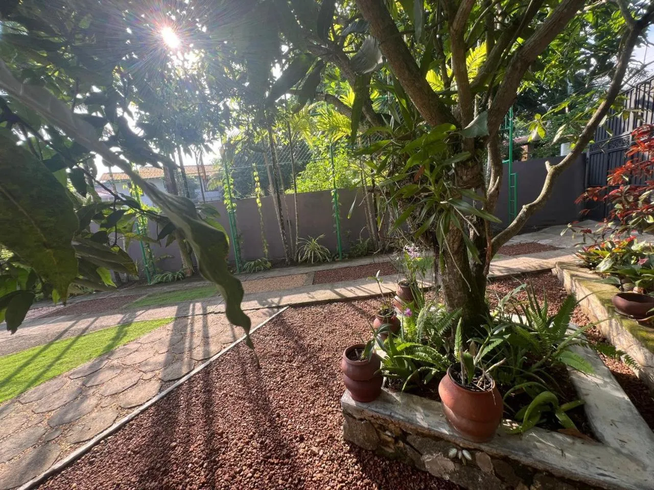 View (from property/room) in The Vitamin Sea