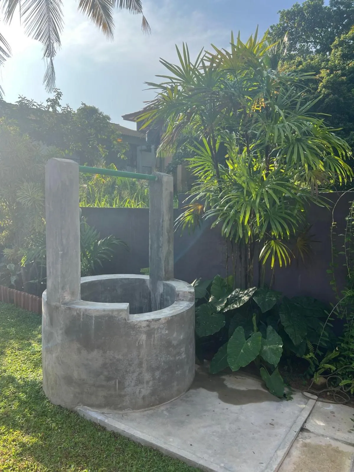 Garden in The Vitamin Sea