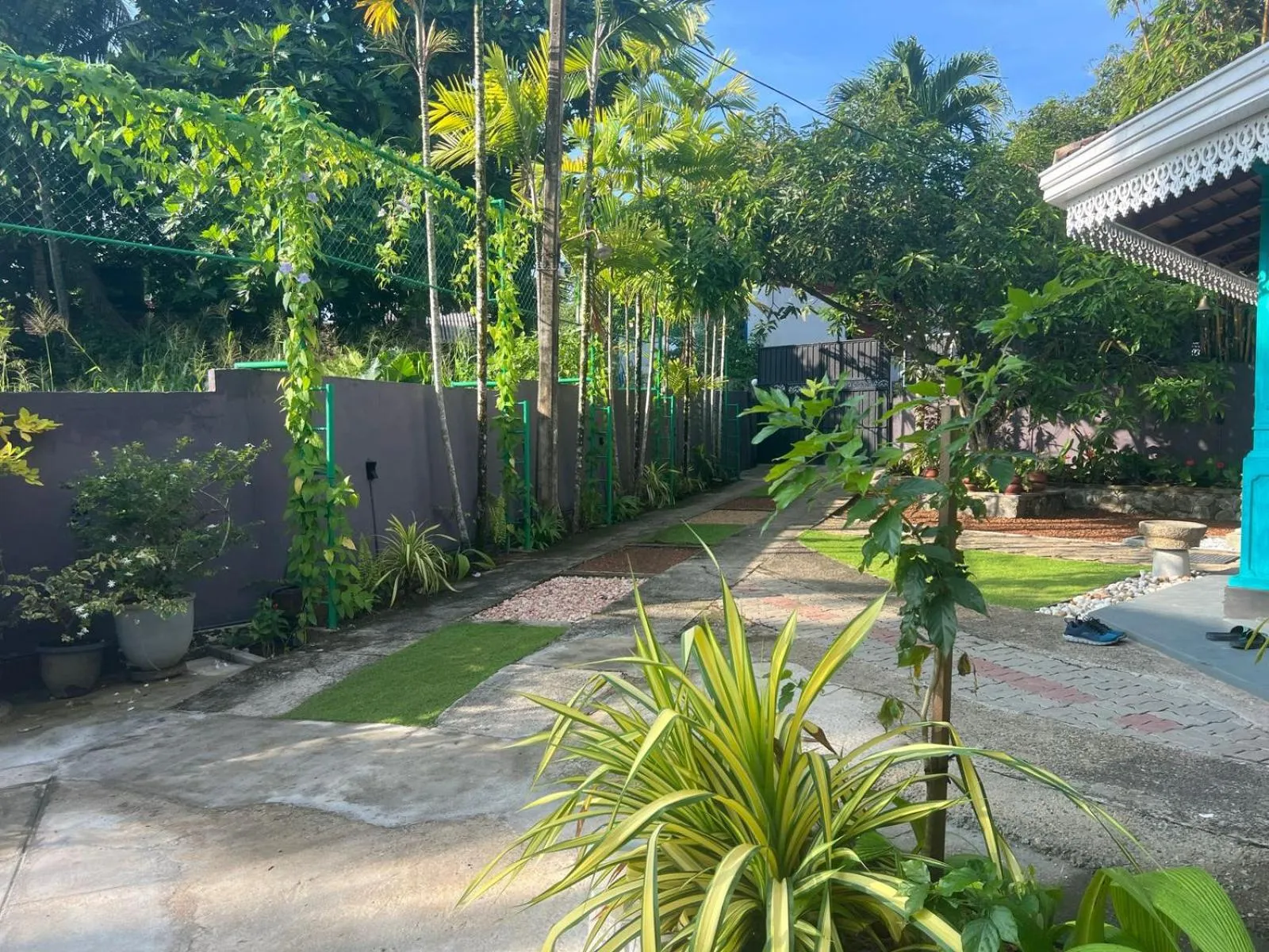 Garden in The Vitamin Sea