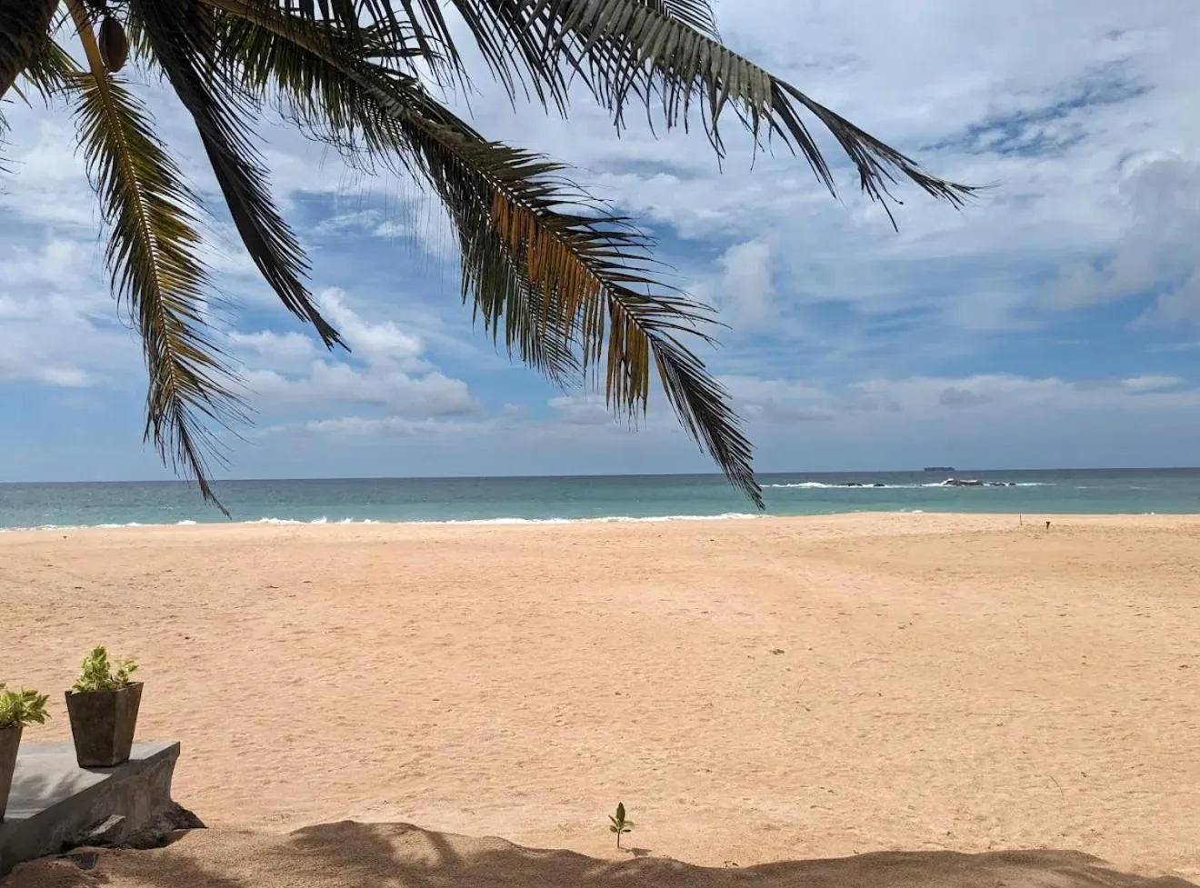Beach in The Vitamin Sea