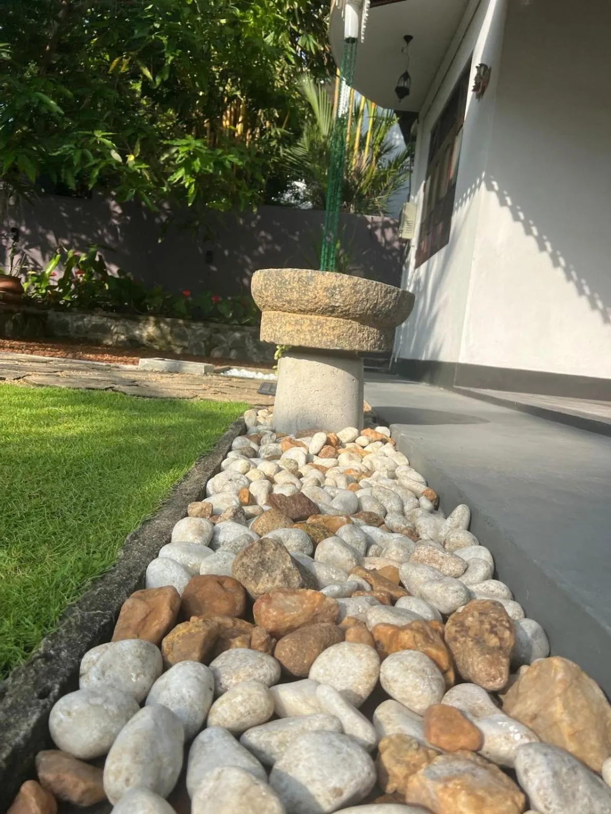 Garden in The Vitamin Sea