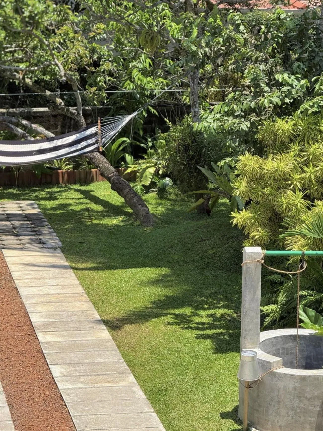 Garden in The Vitamin Sea