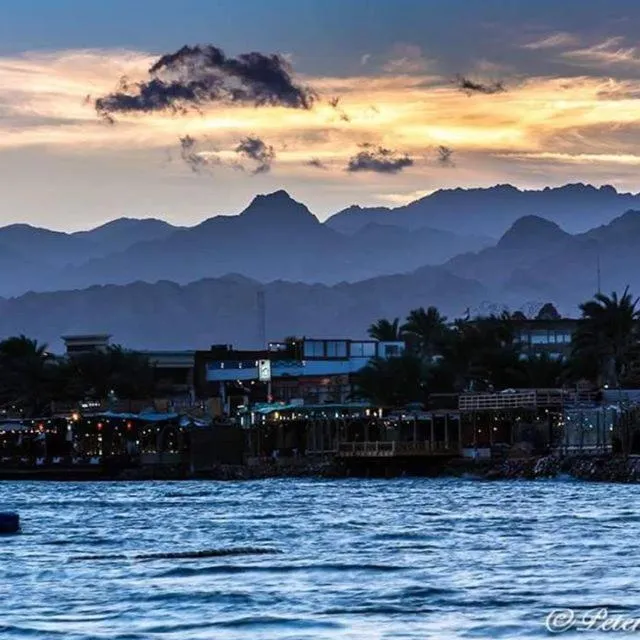 Restaurant/places to eat in Golden Europe Hotel