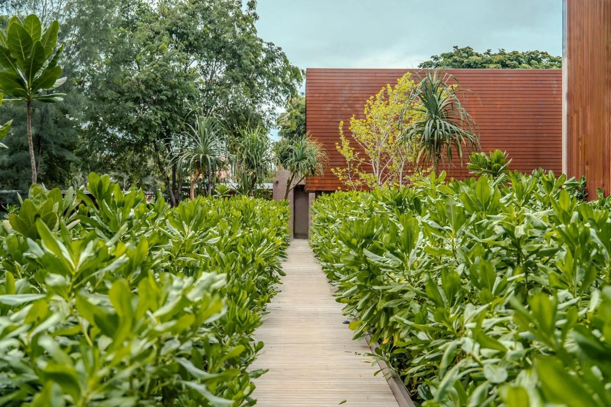 inchantreedoolay huahin