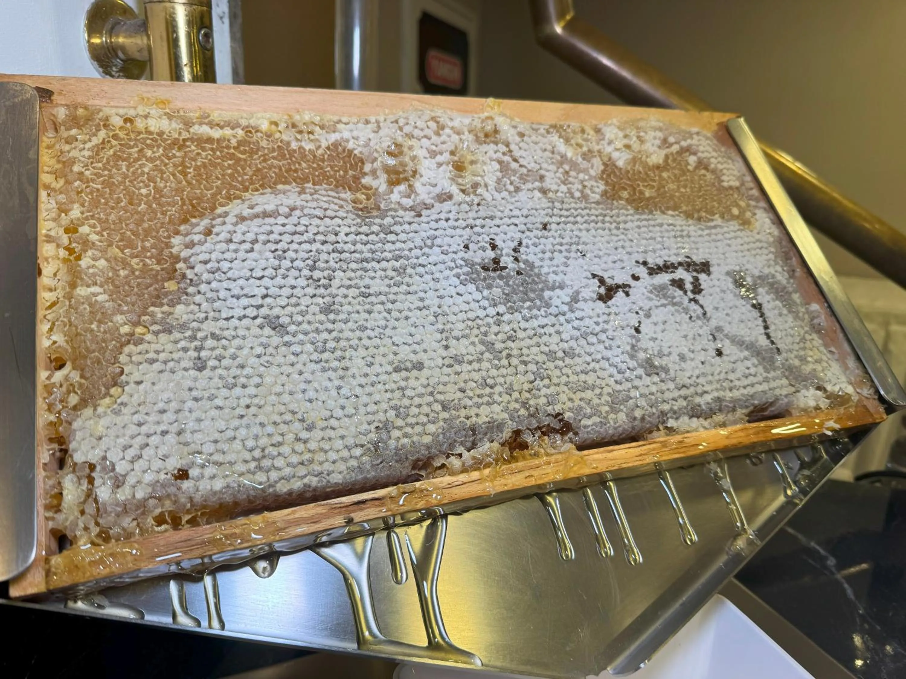 Breakfast in Aven Hotel