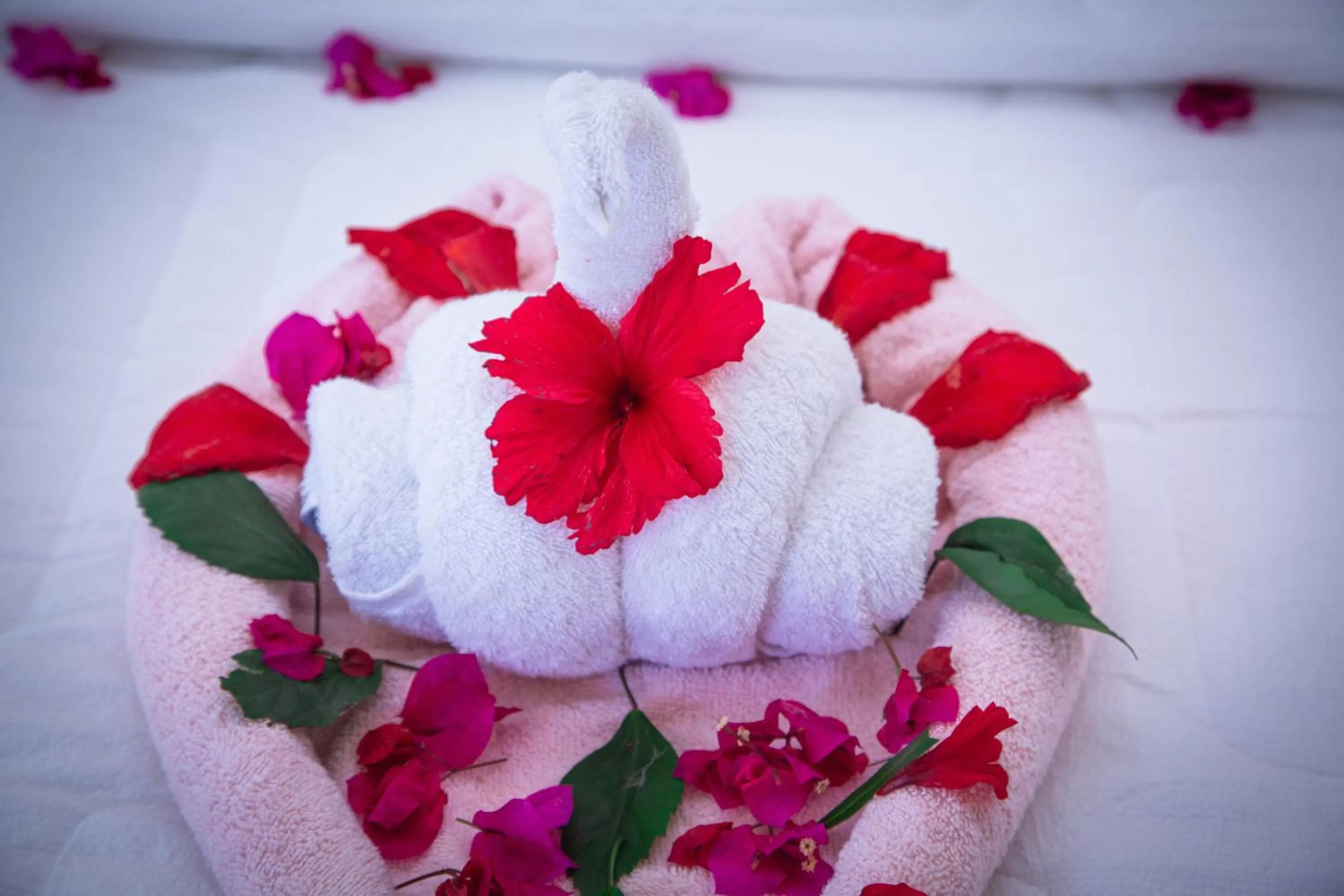 Bed in Jazira Palace