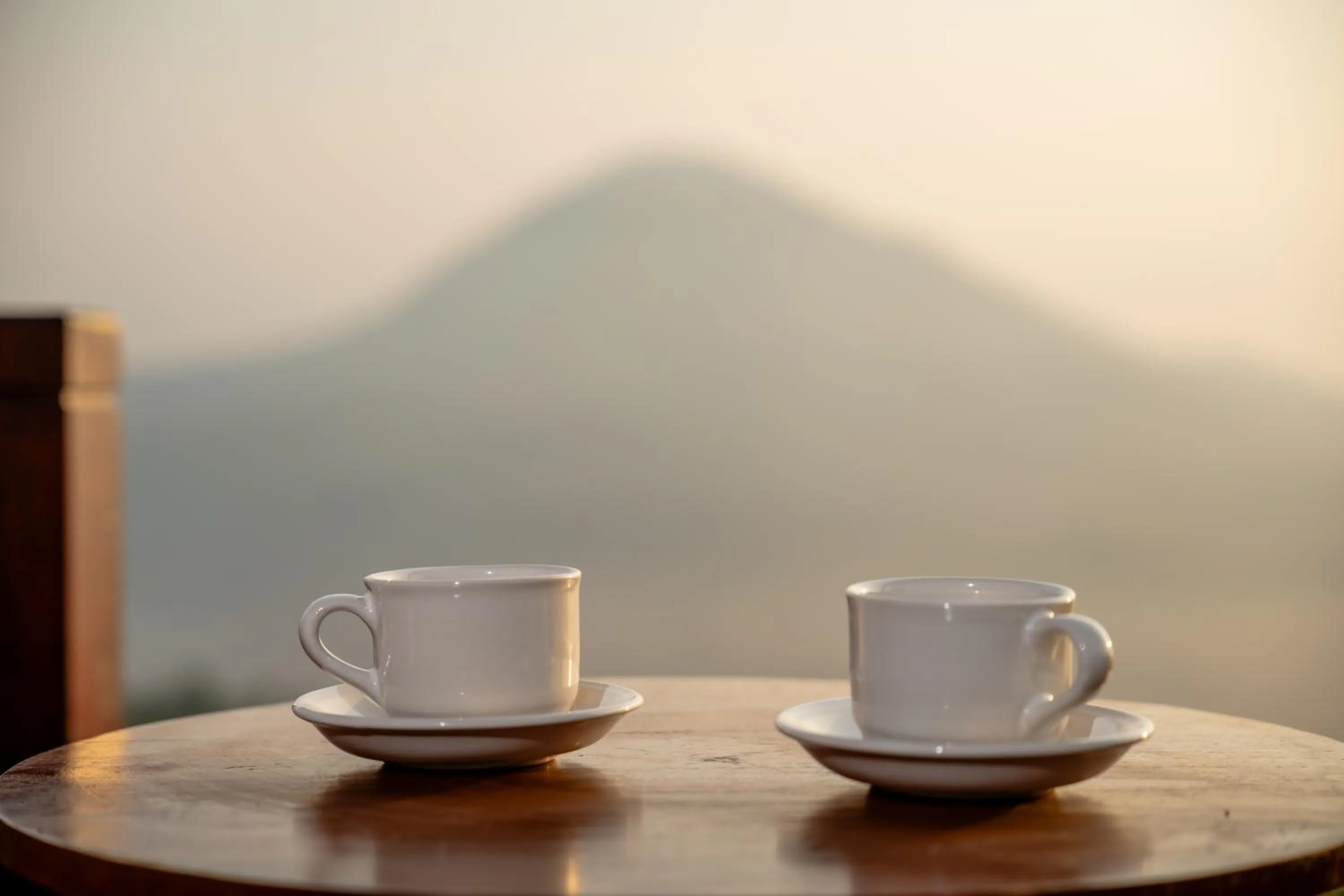 View (from property/room) in Pondok Devana Kintamani