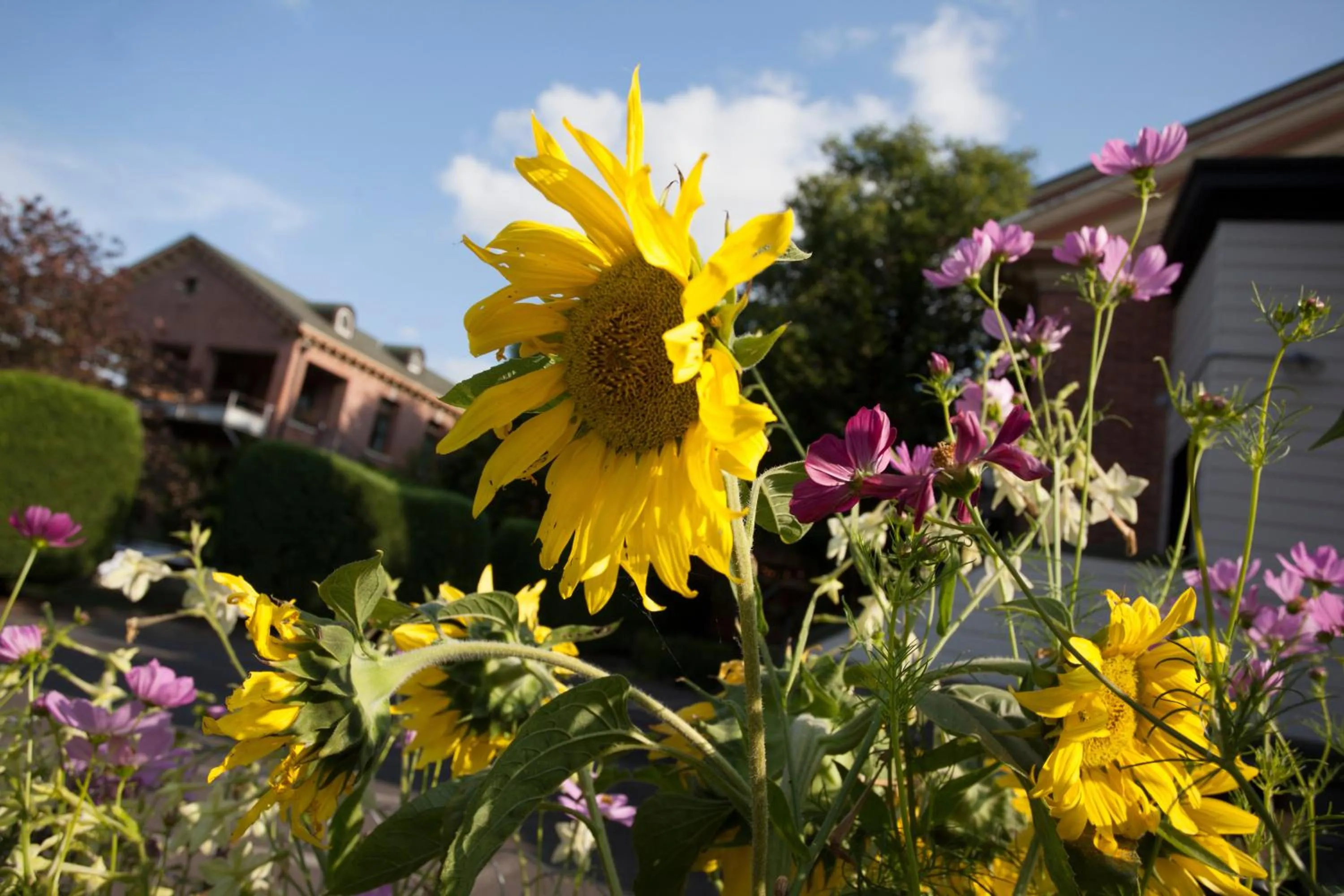 Property building in McMenamins Grand Lodge