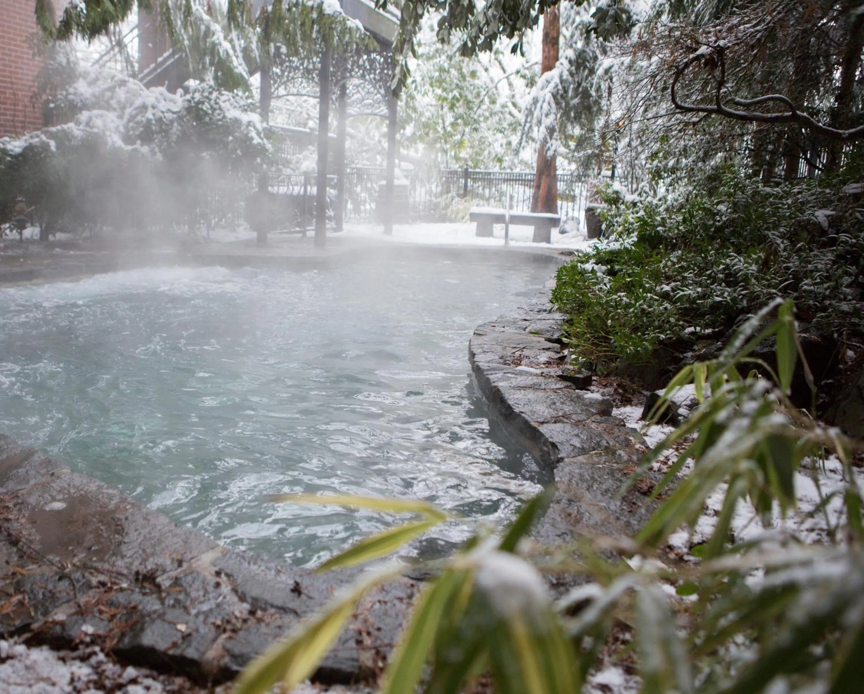 Pool view in McMenamins Grand Lodge