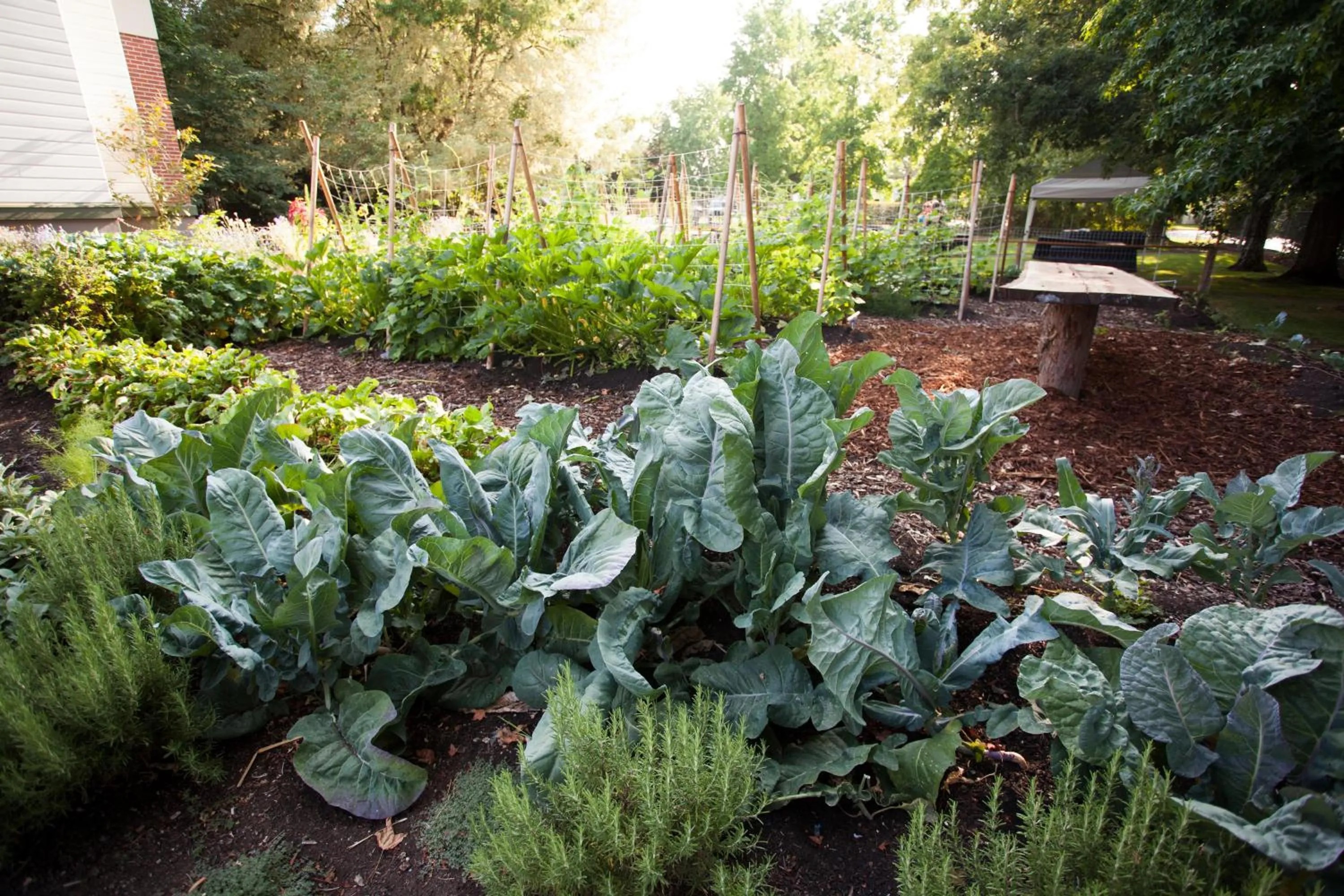 Garden in McMenamins Grand Lodge