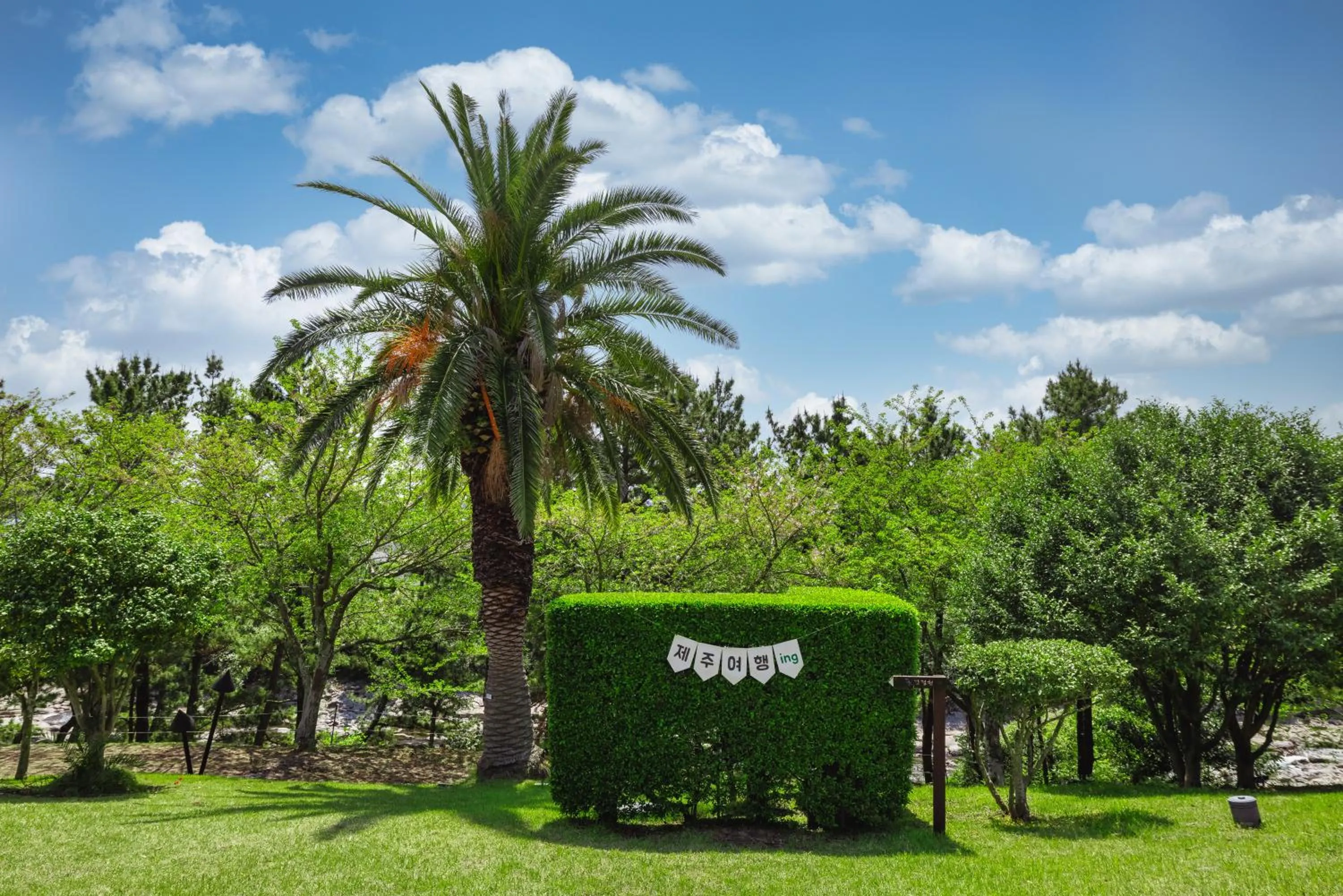 Garden in Kensington Resort Seogwipo