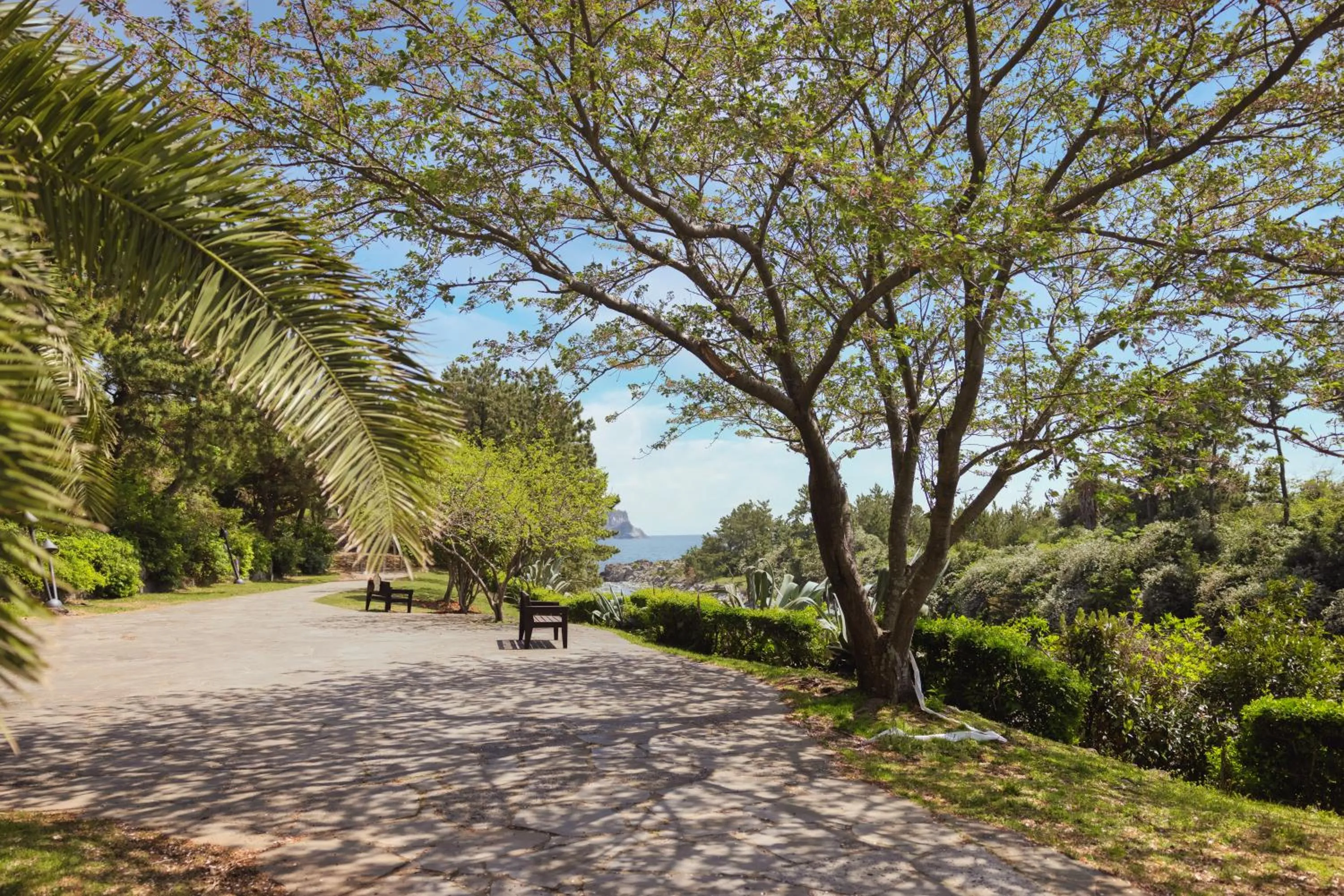 Garden in Kensington Resort Seogwipo