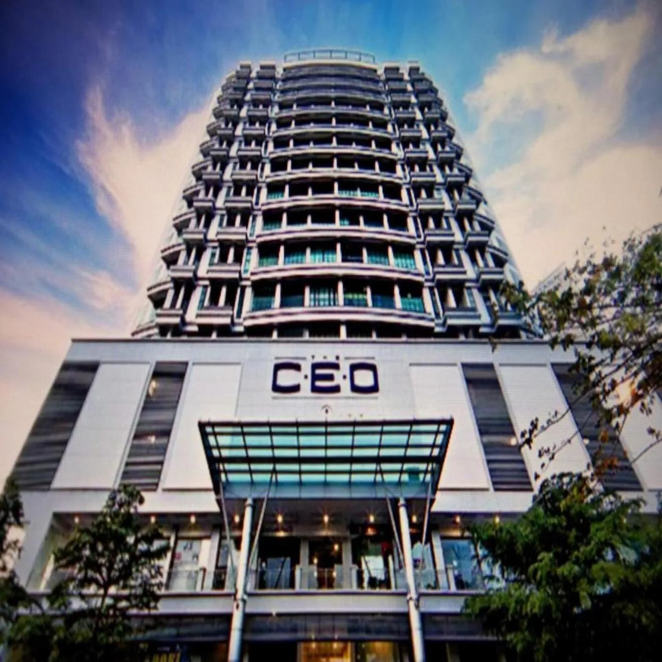 The CEO Executive Suites