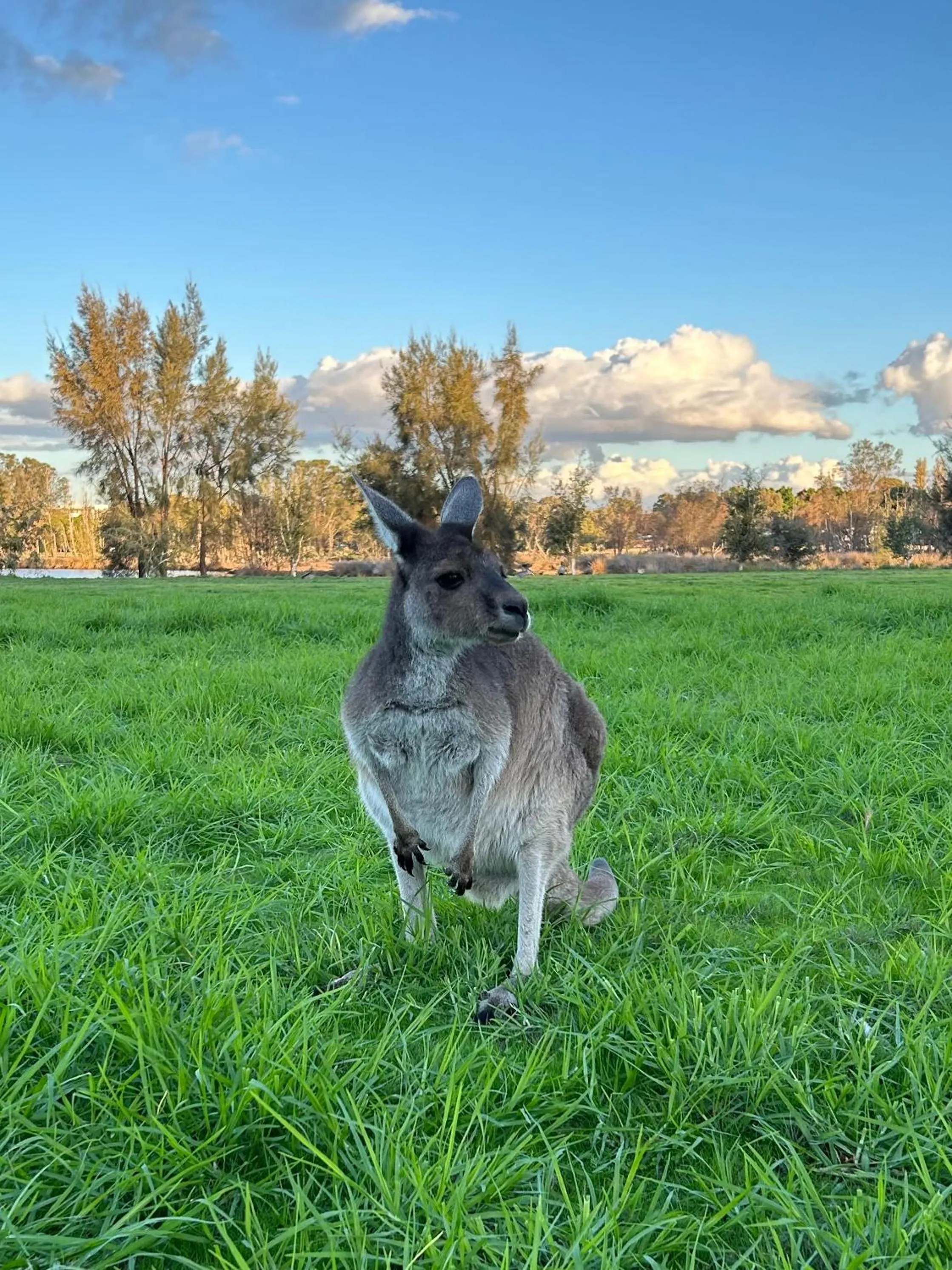 Shiralee Hostel -note - Valid passport required to check in