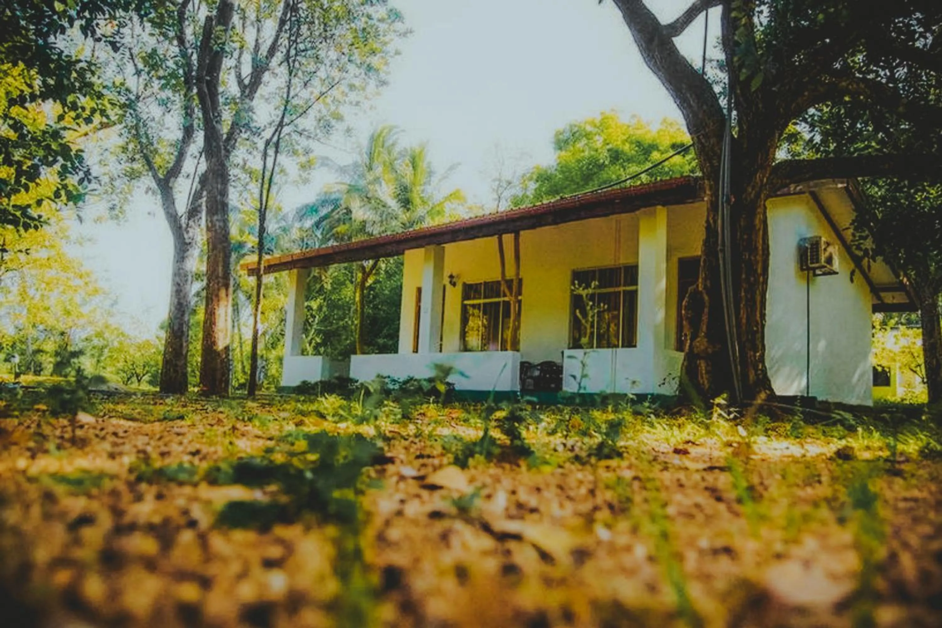 Property building in Banana Rest Sigiriya