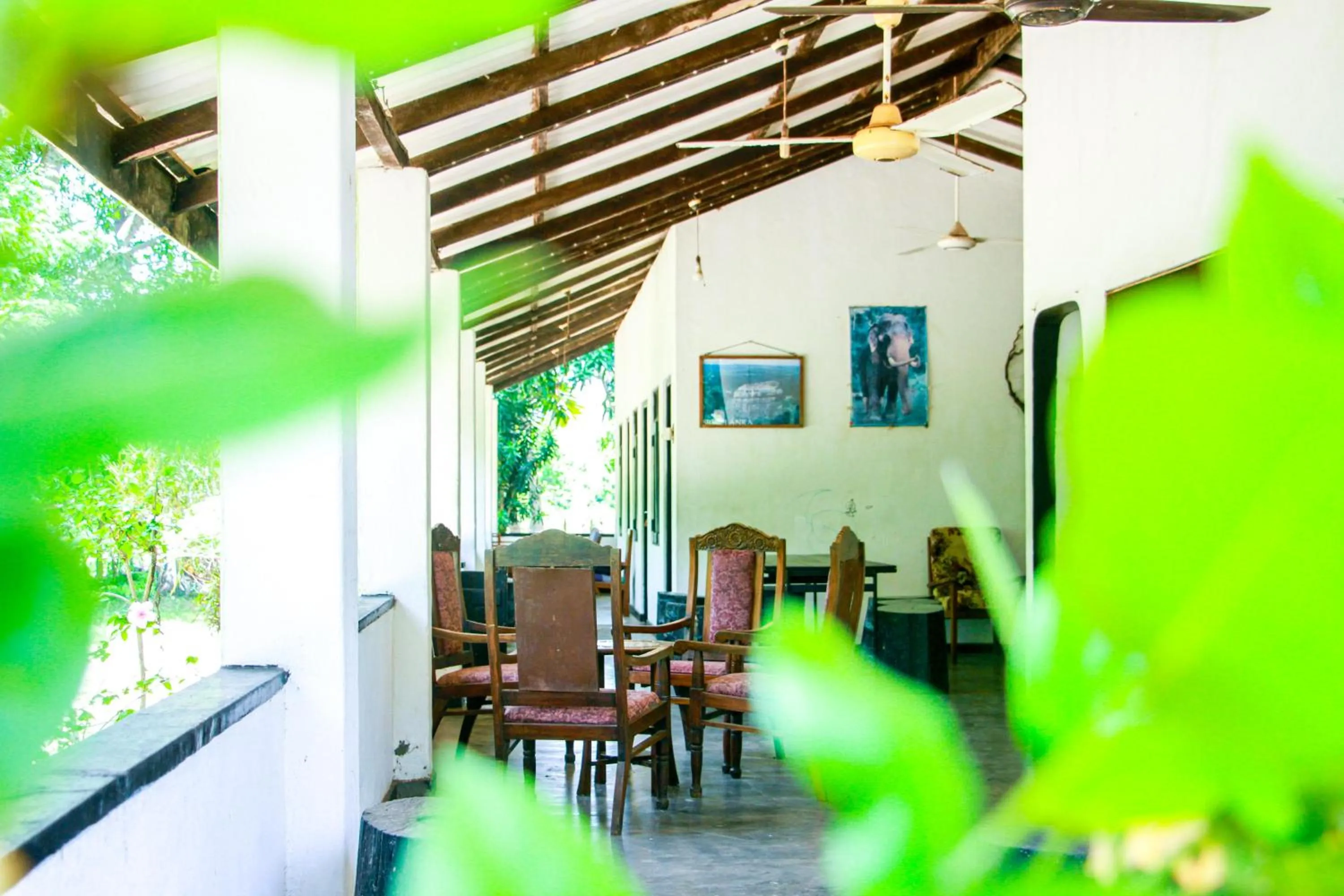 Patio in Banana Rest Sigiriya