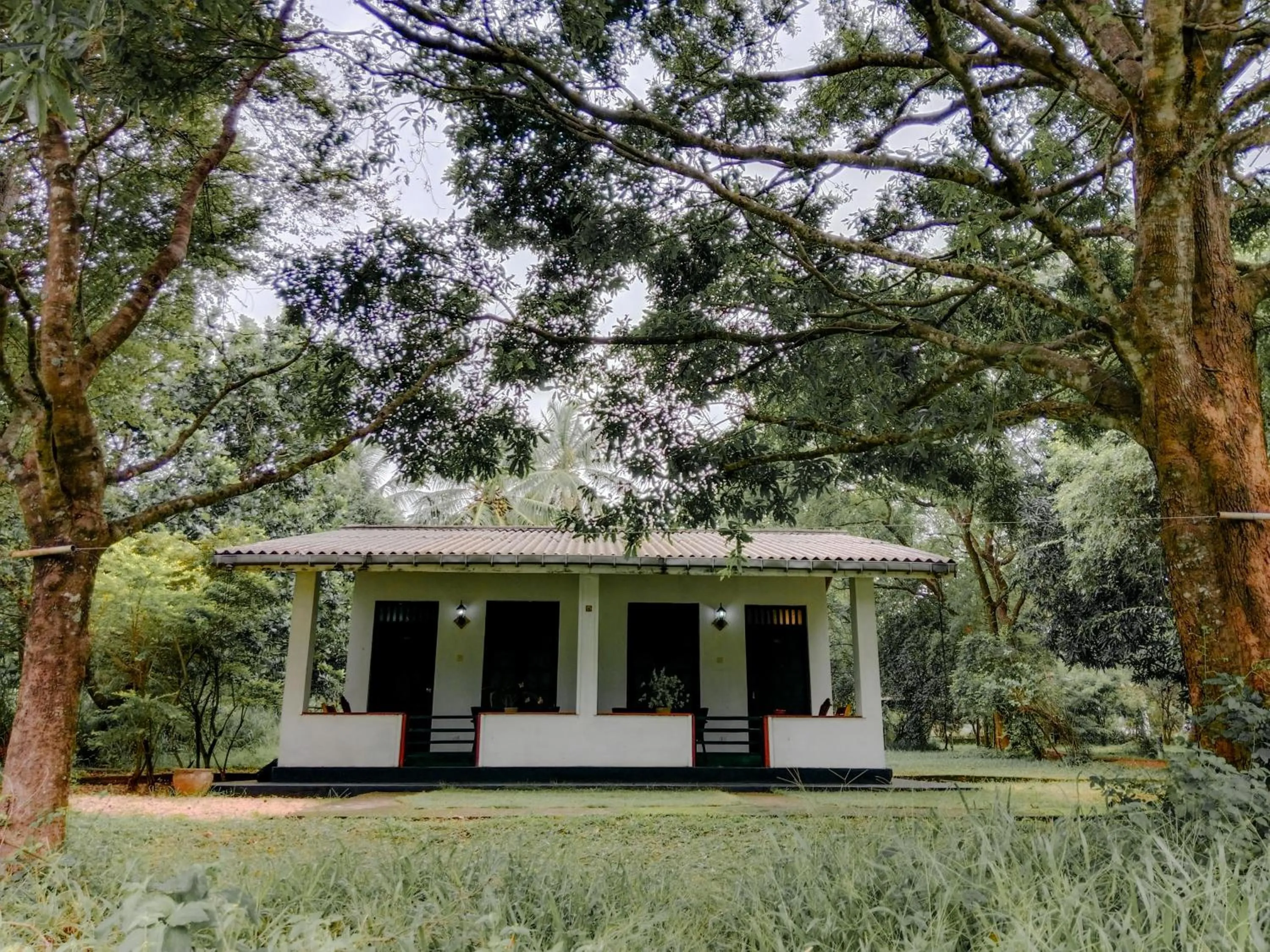 Property building in Banana Rest Sigiriya