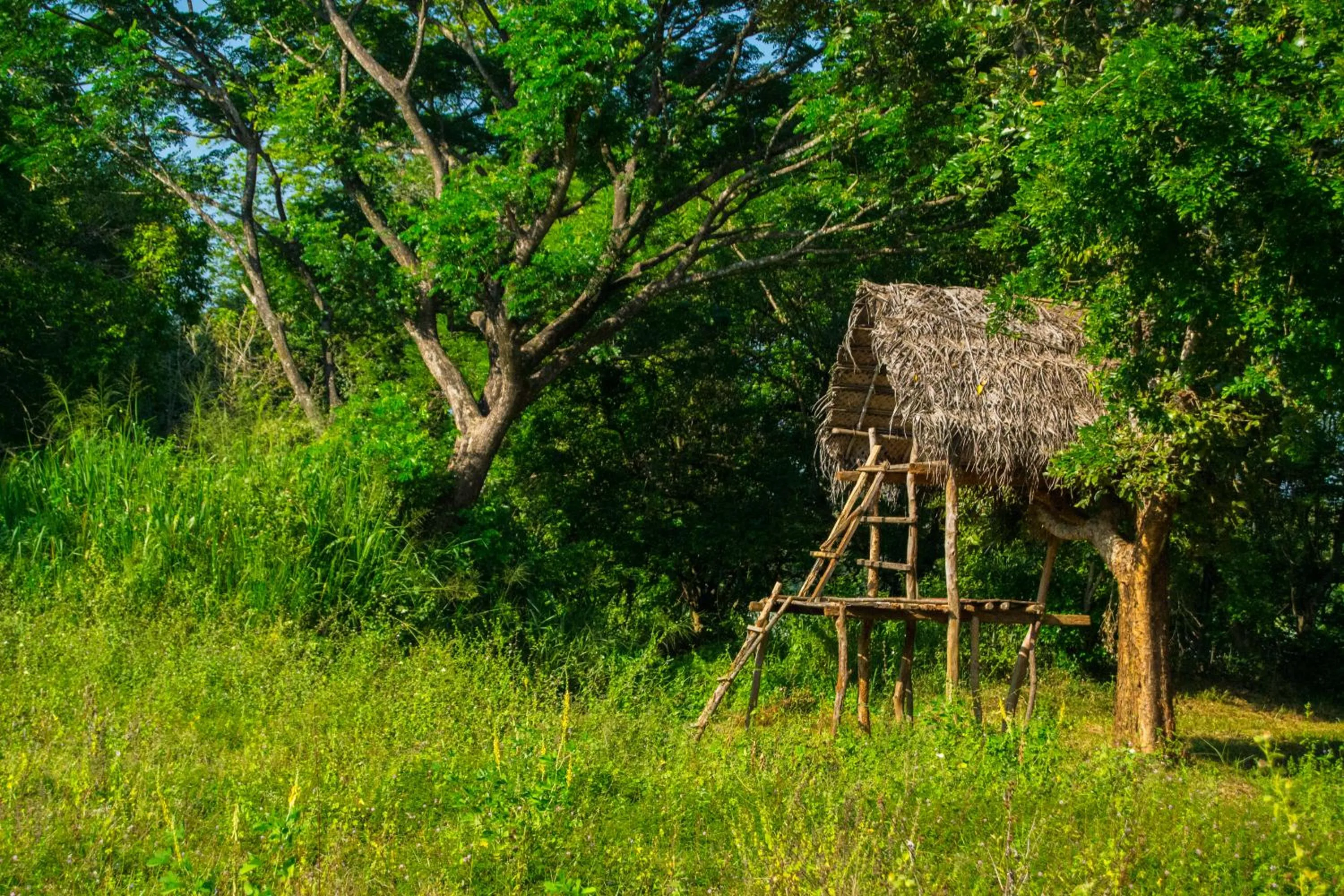 Lake view in Banana Rest Sigiriya