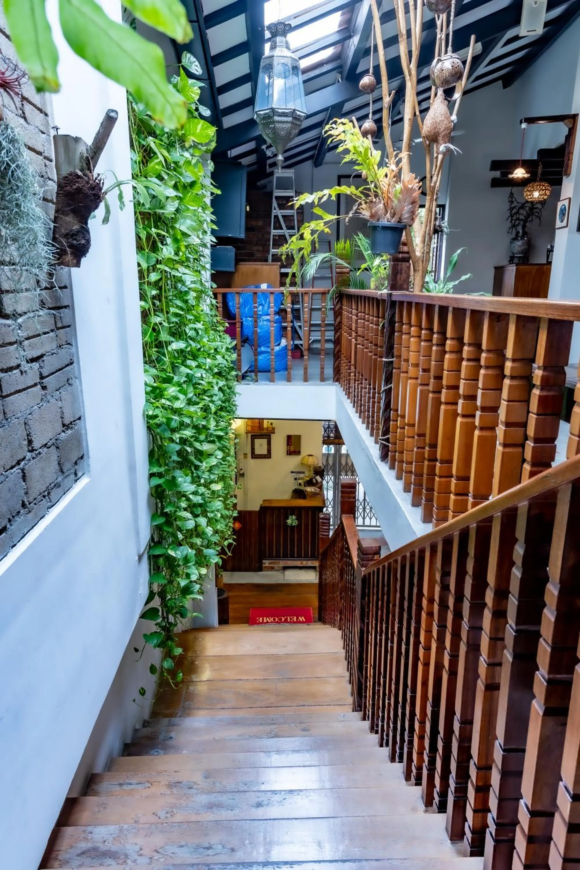 View (from property/room) in Palm Mansion Boutique Suites