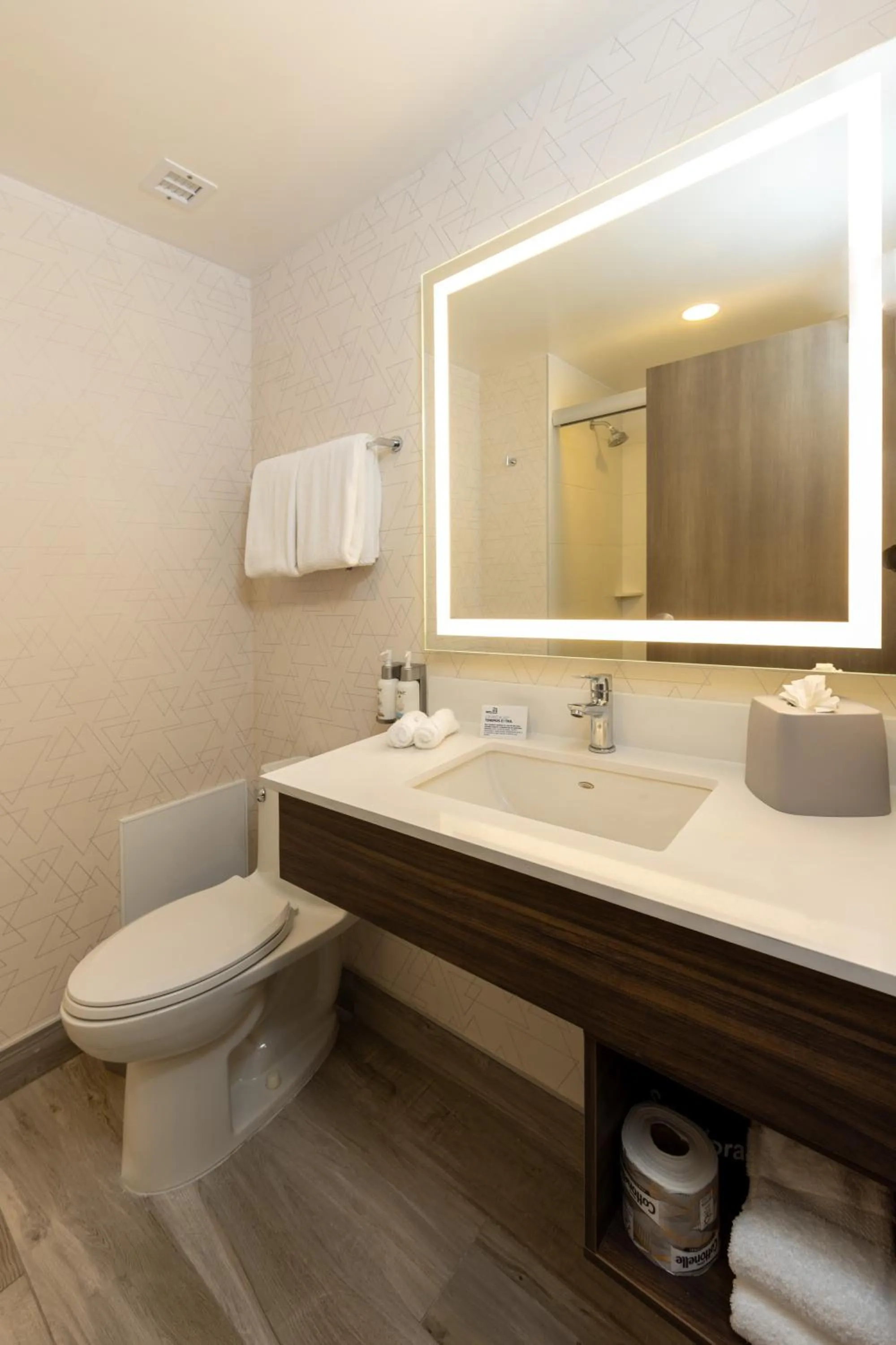 Bathroom in Holiday Inn Express & Suites Mazatlan by IHG