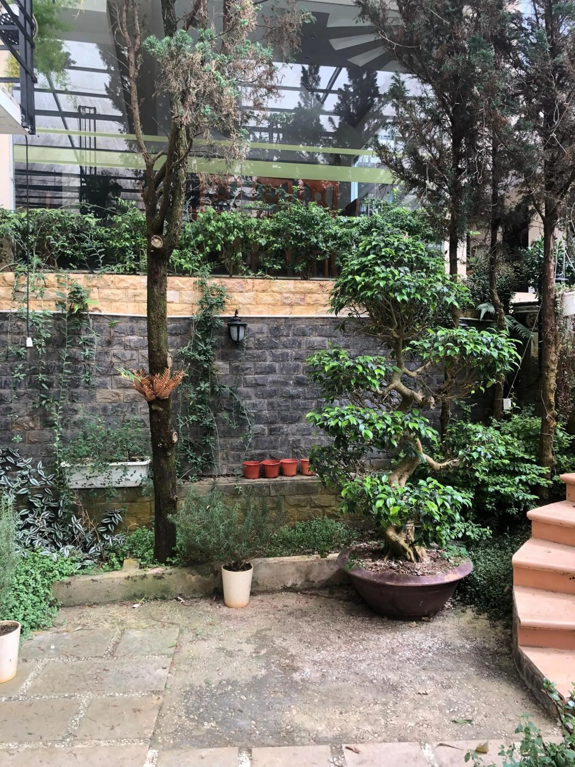 Garden in Le Petit Paris Dalat Hotel