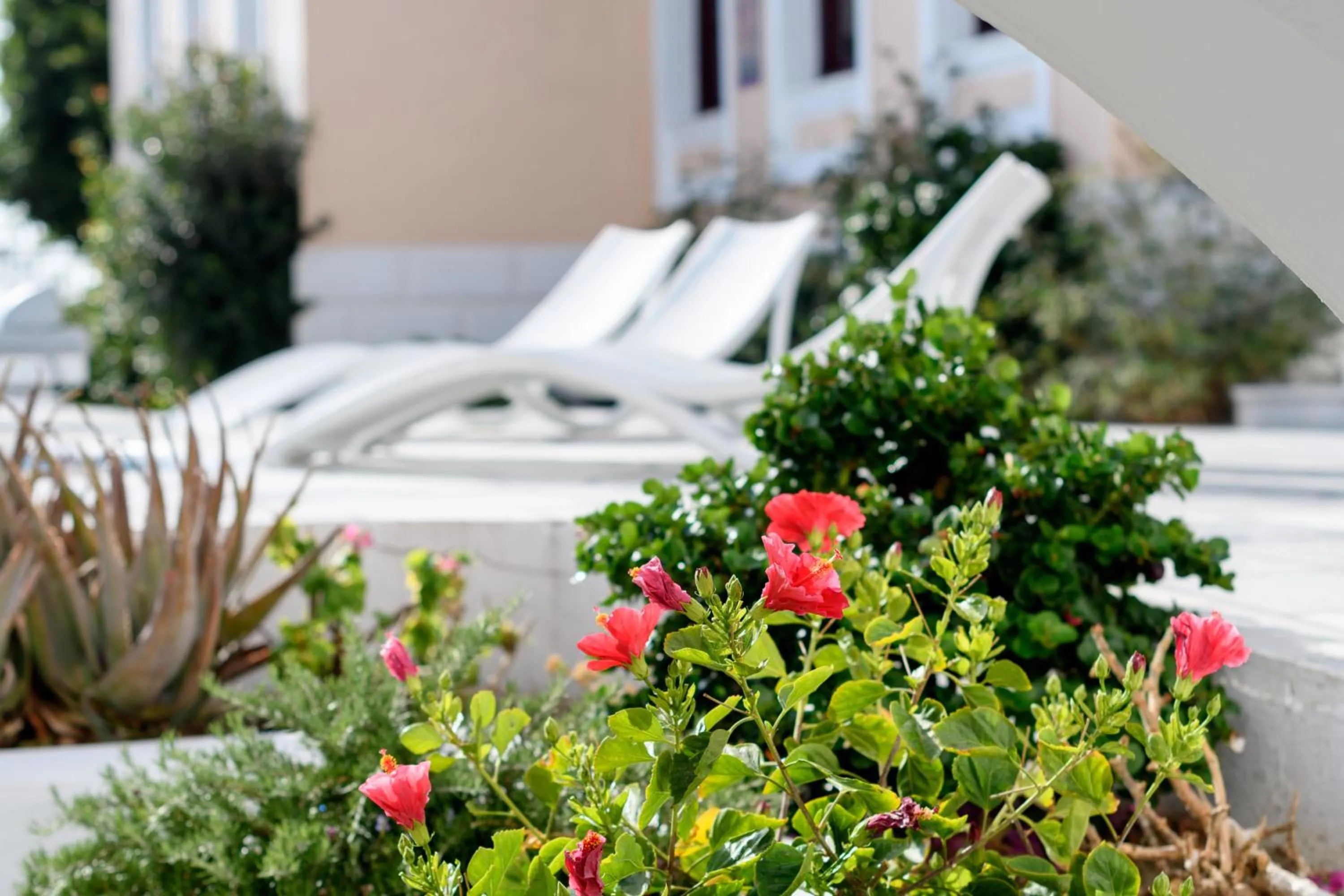 Balcony/Terrace in Veggera Beach Hotel