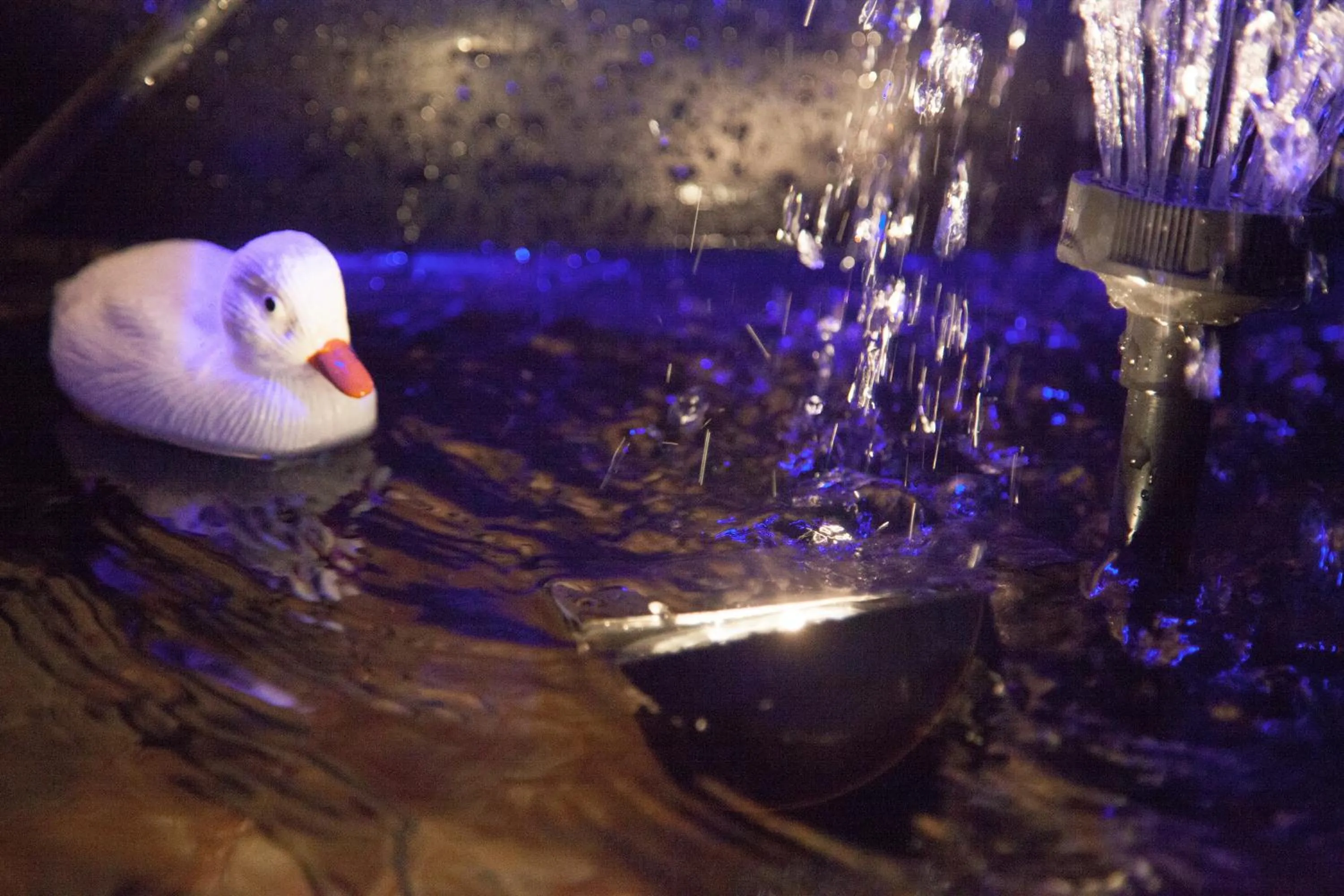 Natural landscape in Villa Anto