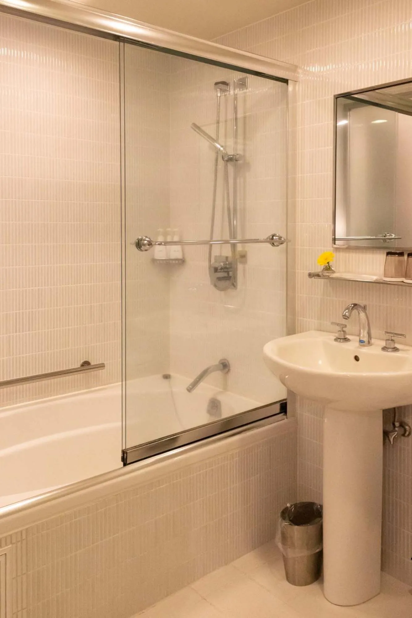 Bathroom in Hotel Massimo Mishima