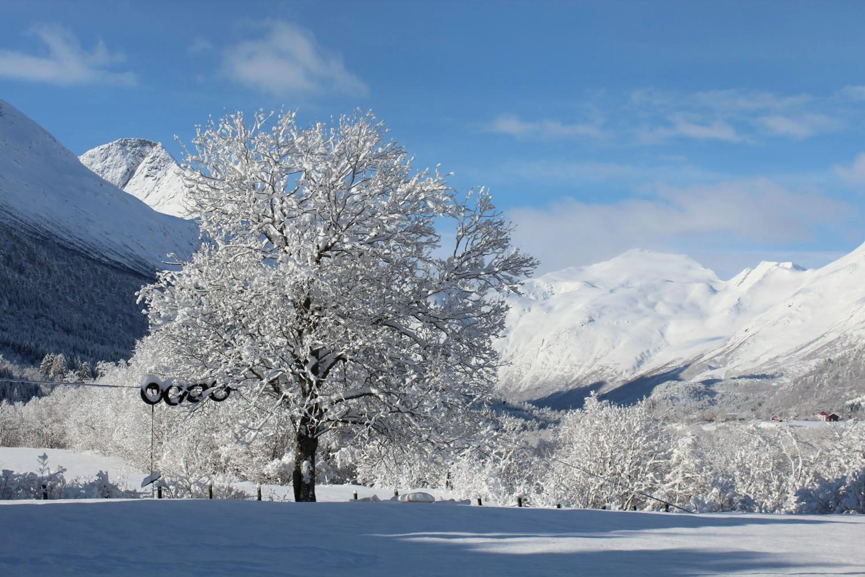 Winter in Phillipshaugen Lodge
