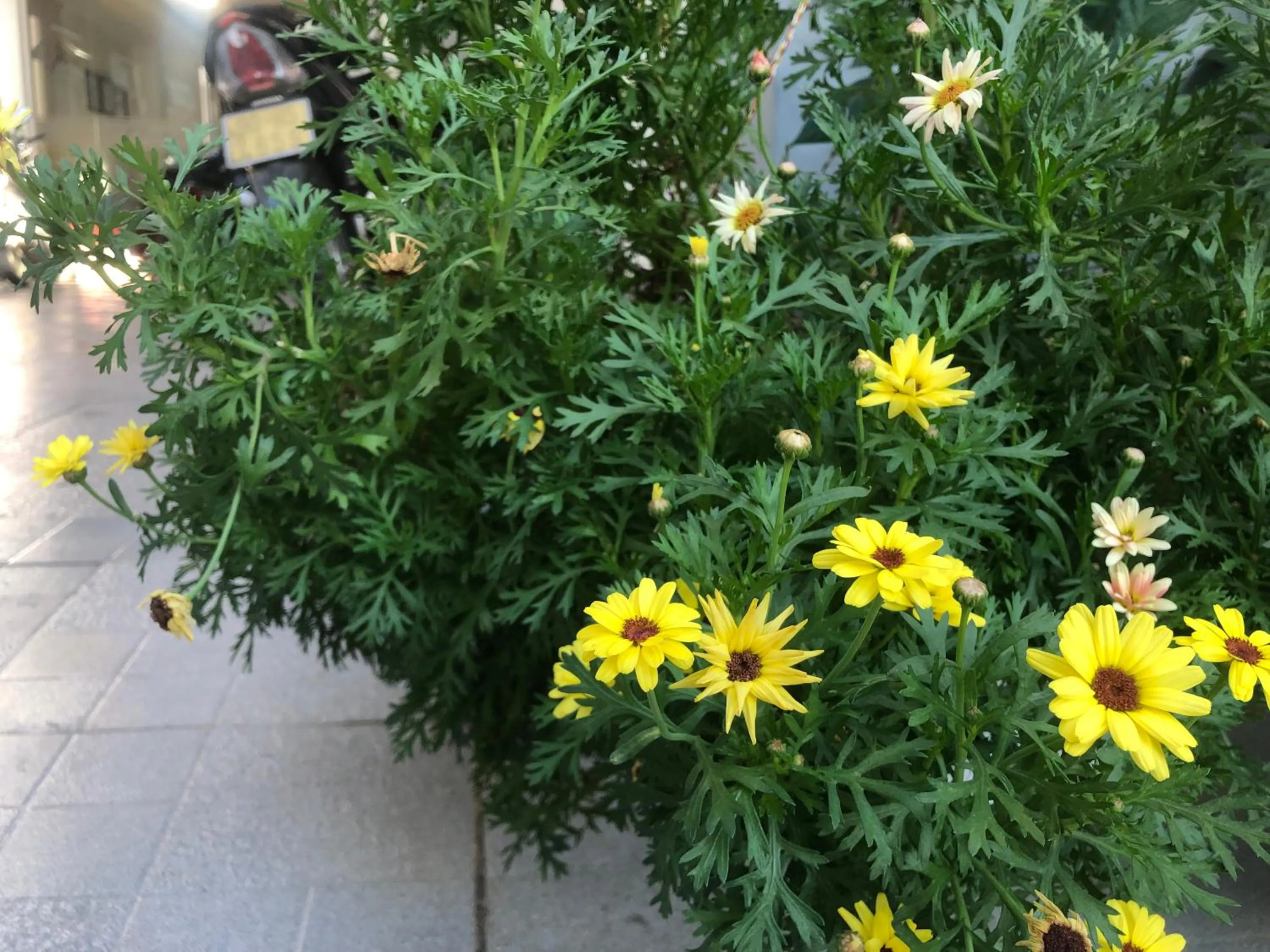 Property building in Phuong Hong Guesthouse