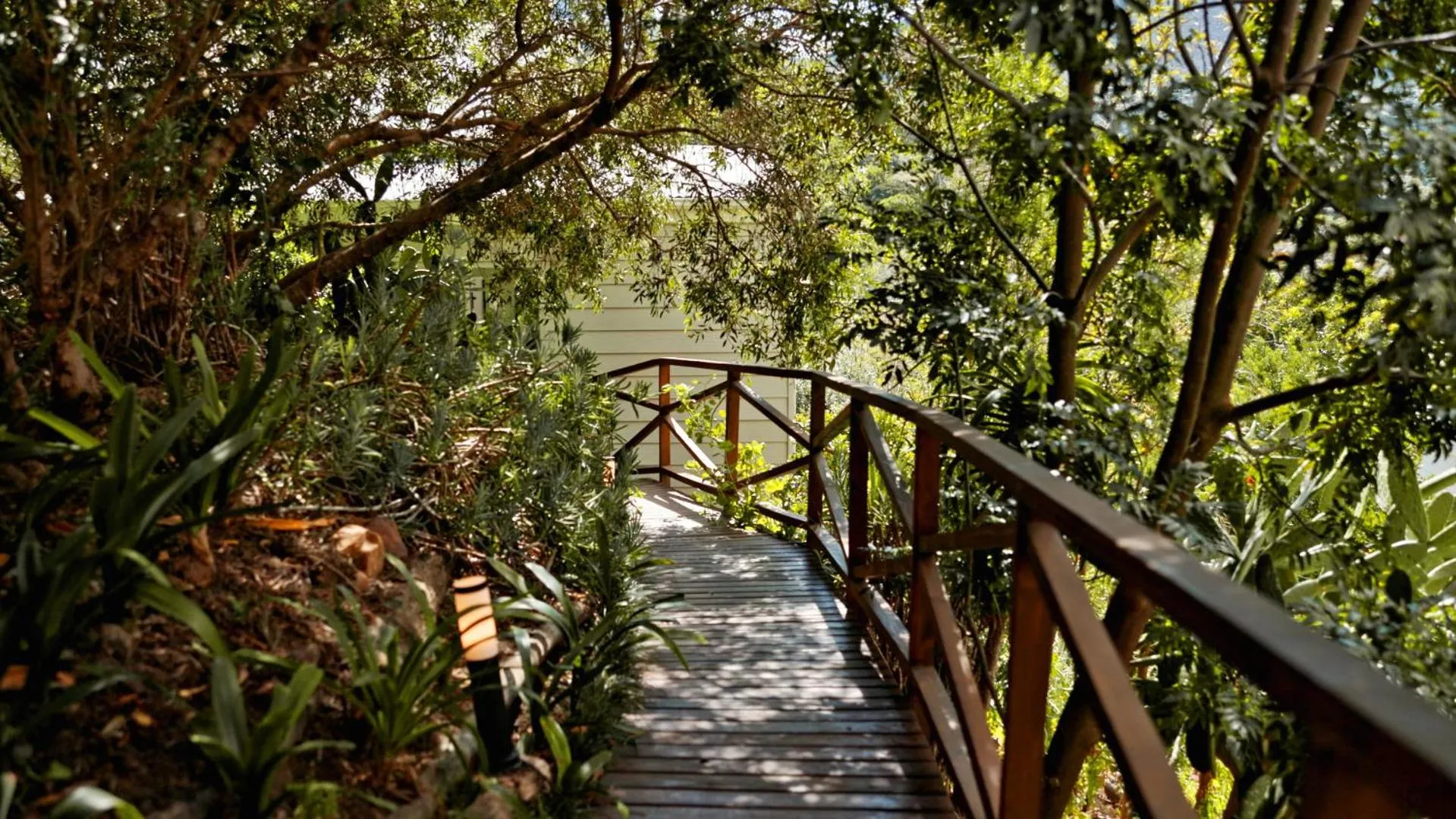 Garden view in Bay Haven Collection, Hout Bay