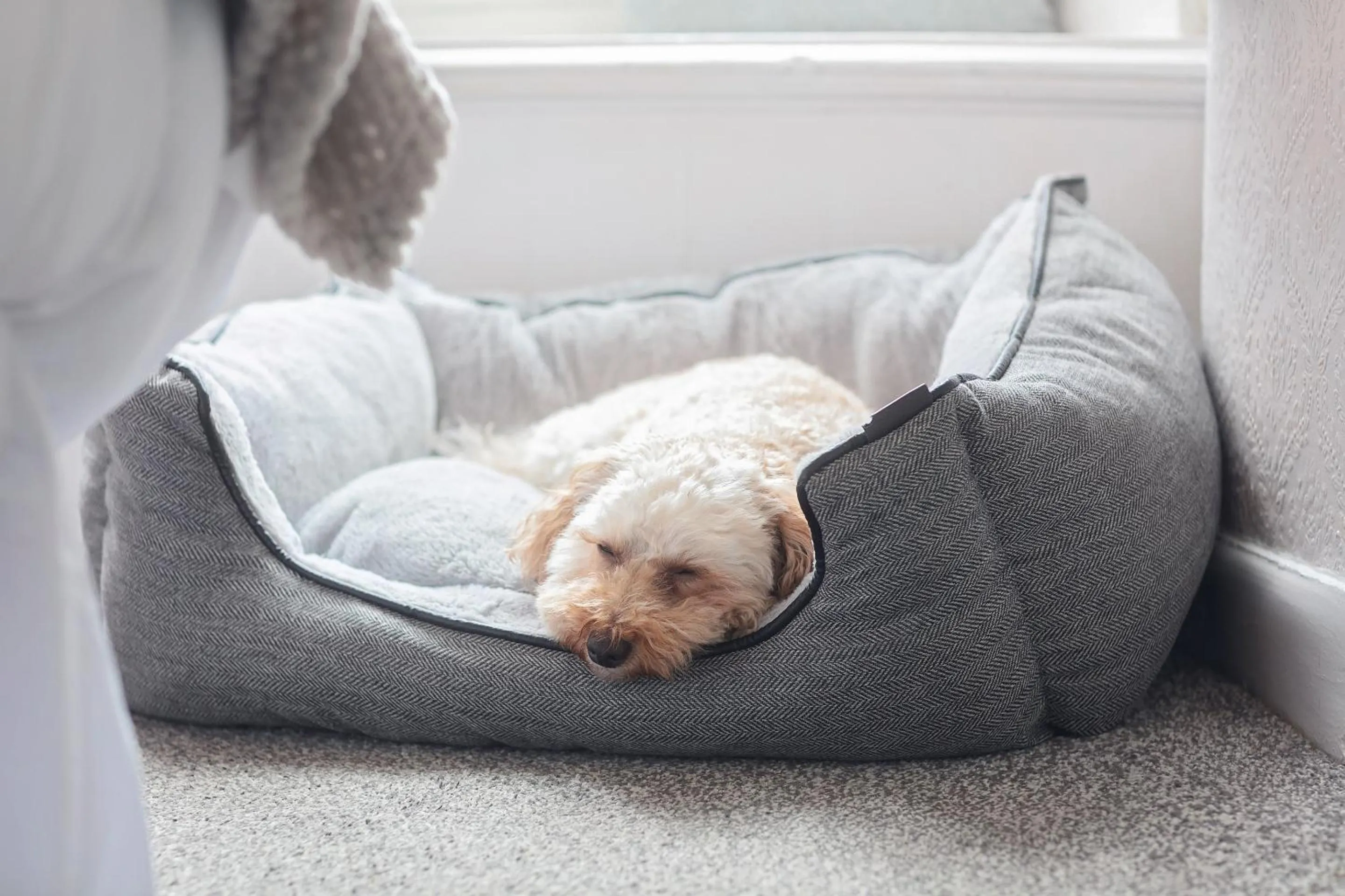Bedroom in The Tavern - Steakhouse and Lodge