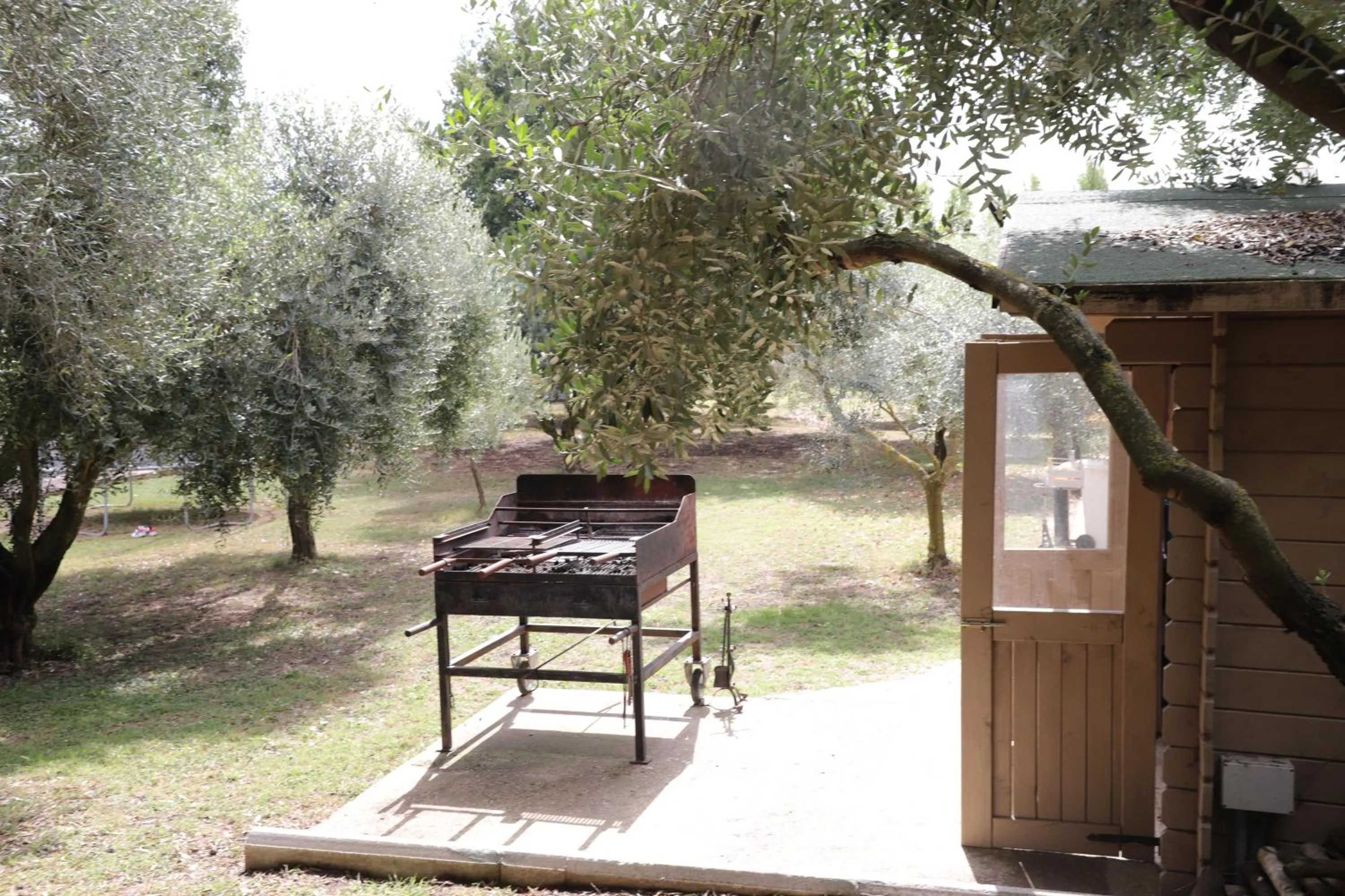 BBQ facilities in B&B Le Colline Country House