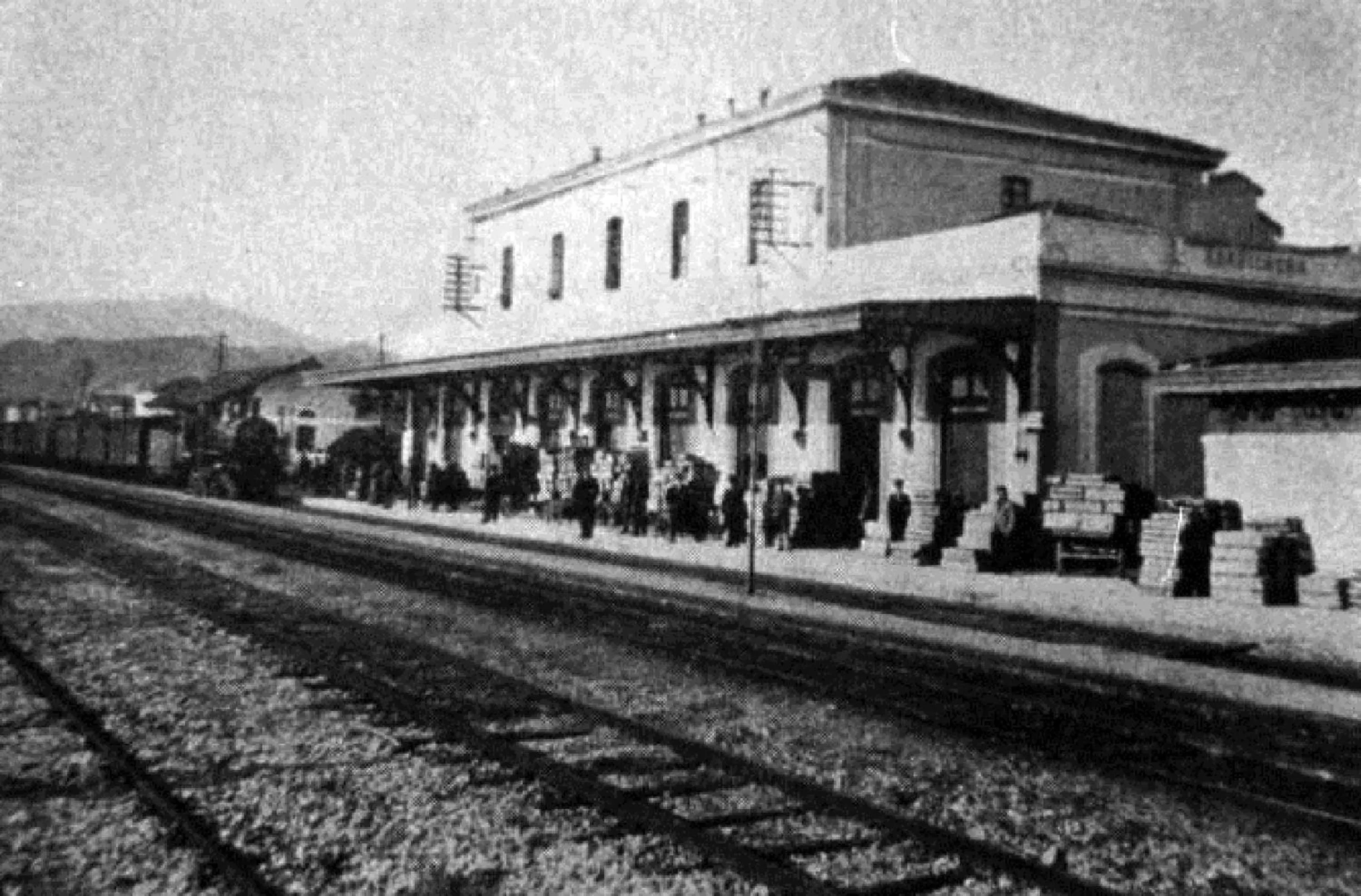 Area and facilities in Lolli Palace Hotel
