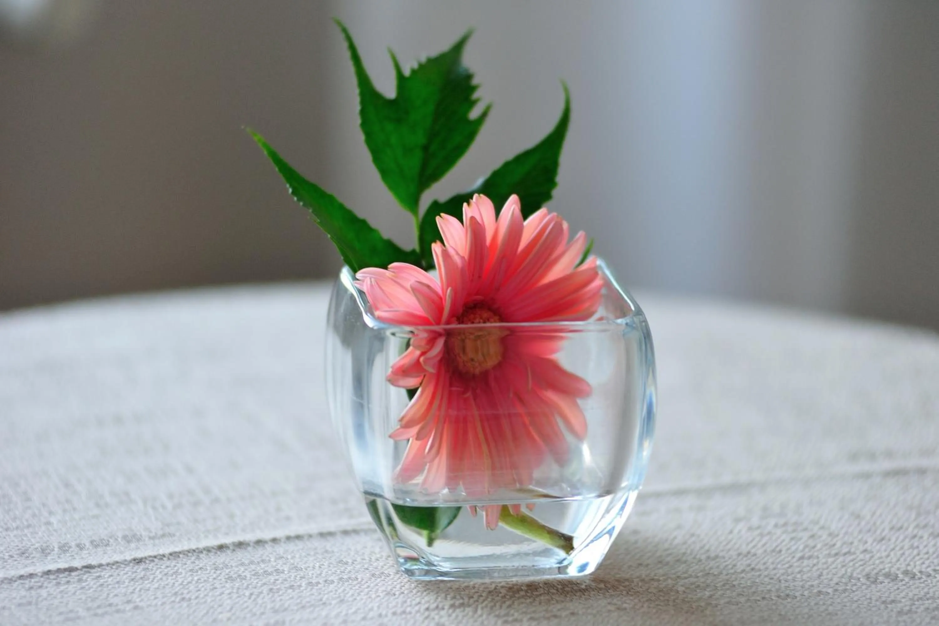 Decorative detail in Lolli Palace Hotel