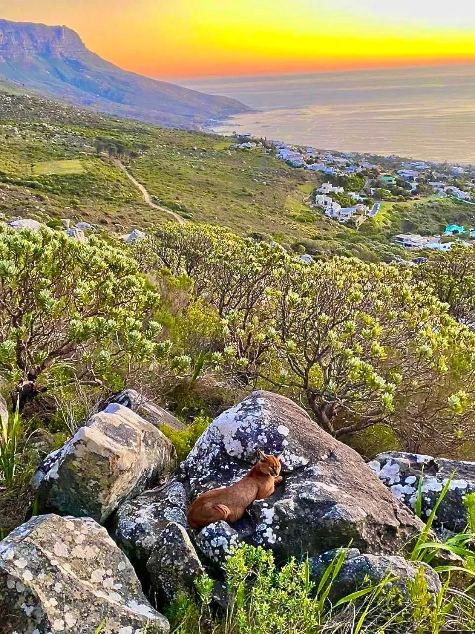 Nearby landmark in Atlanticview Cape Town Boutique Hotel