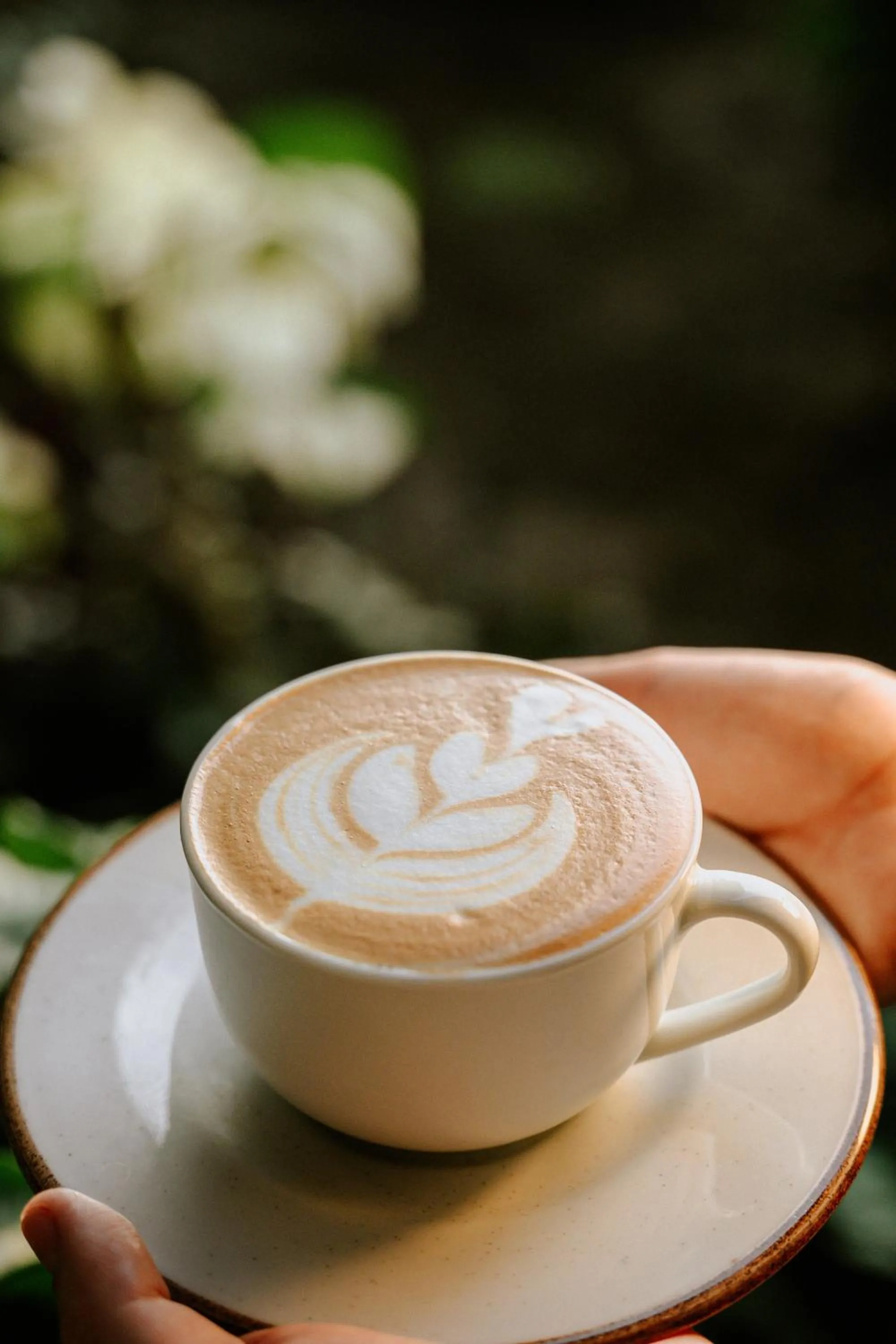 Restaurant/places to eat in Bonding Coffee Roaster Café & Hotel