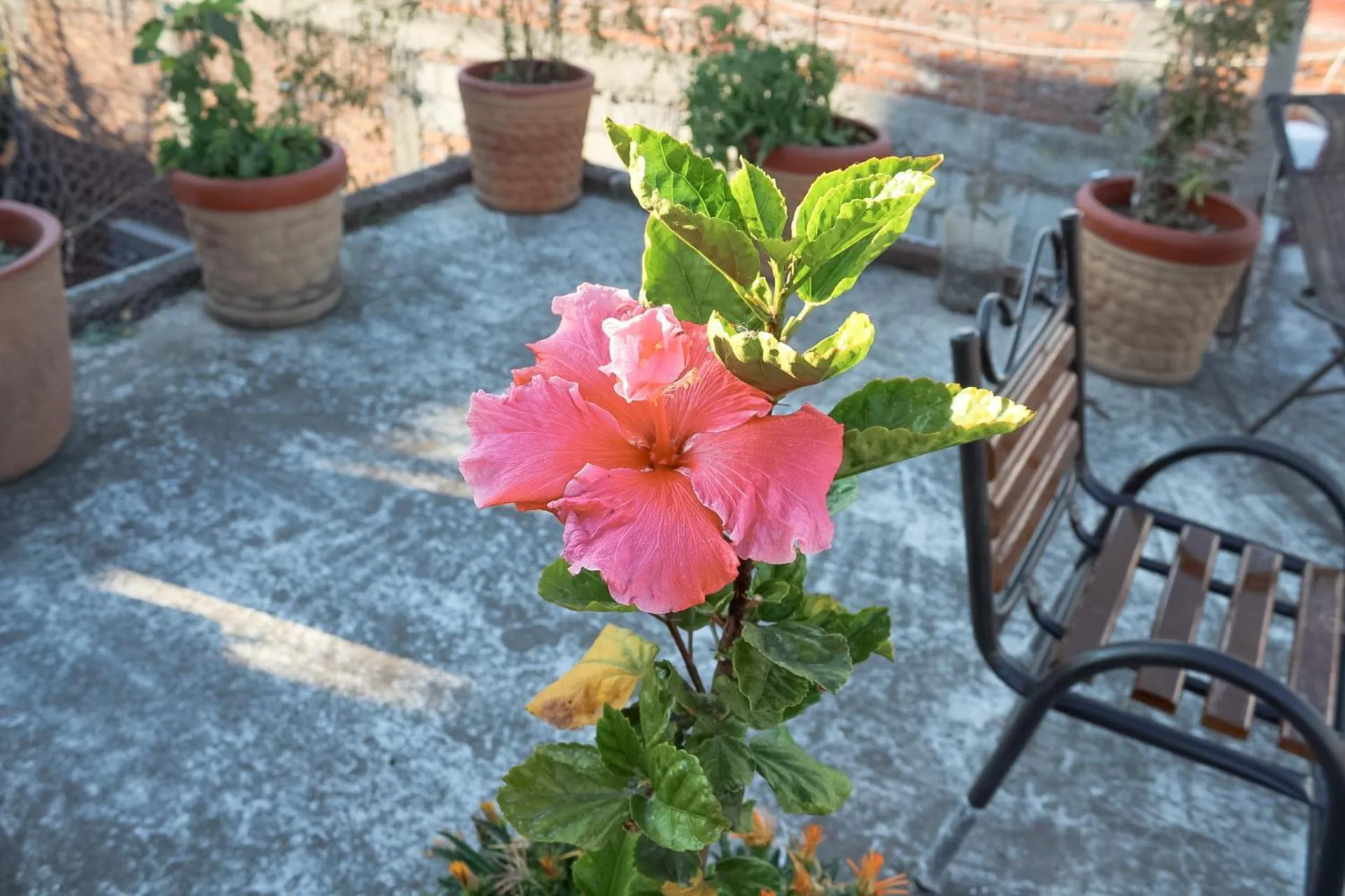 Patio in SiempreViva Hospedaje By GEstores